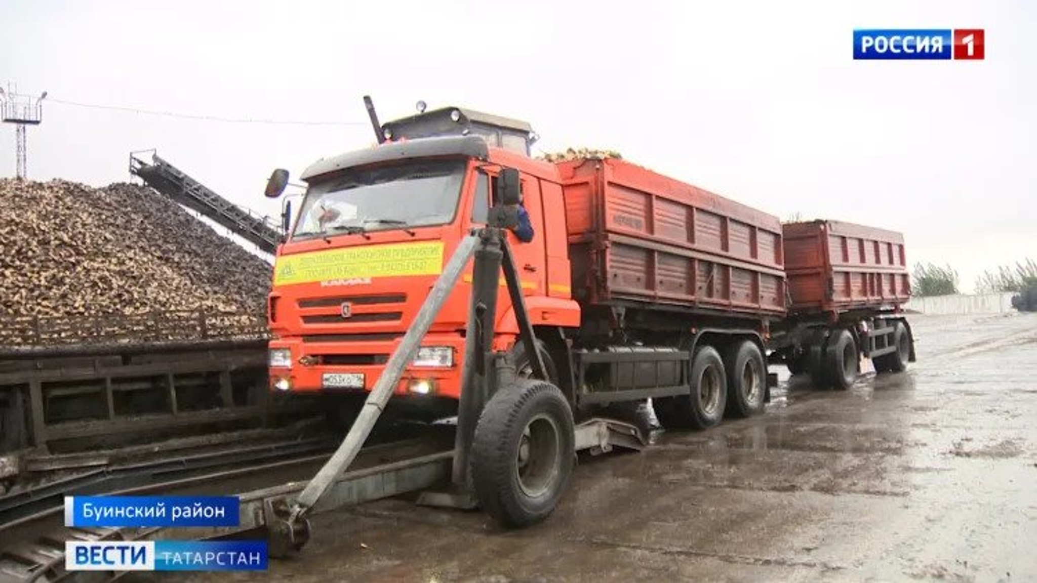 В Буинске планируют за 20 дней завершить уборку сахарной свеклы