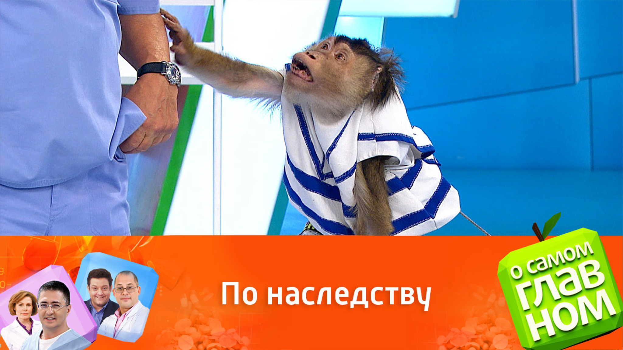 Как наследственность влияет на нашу жизнь