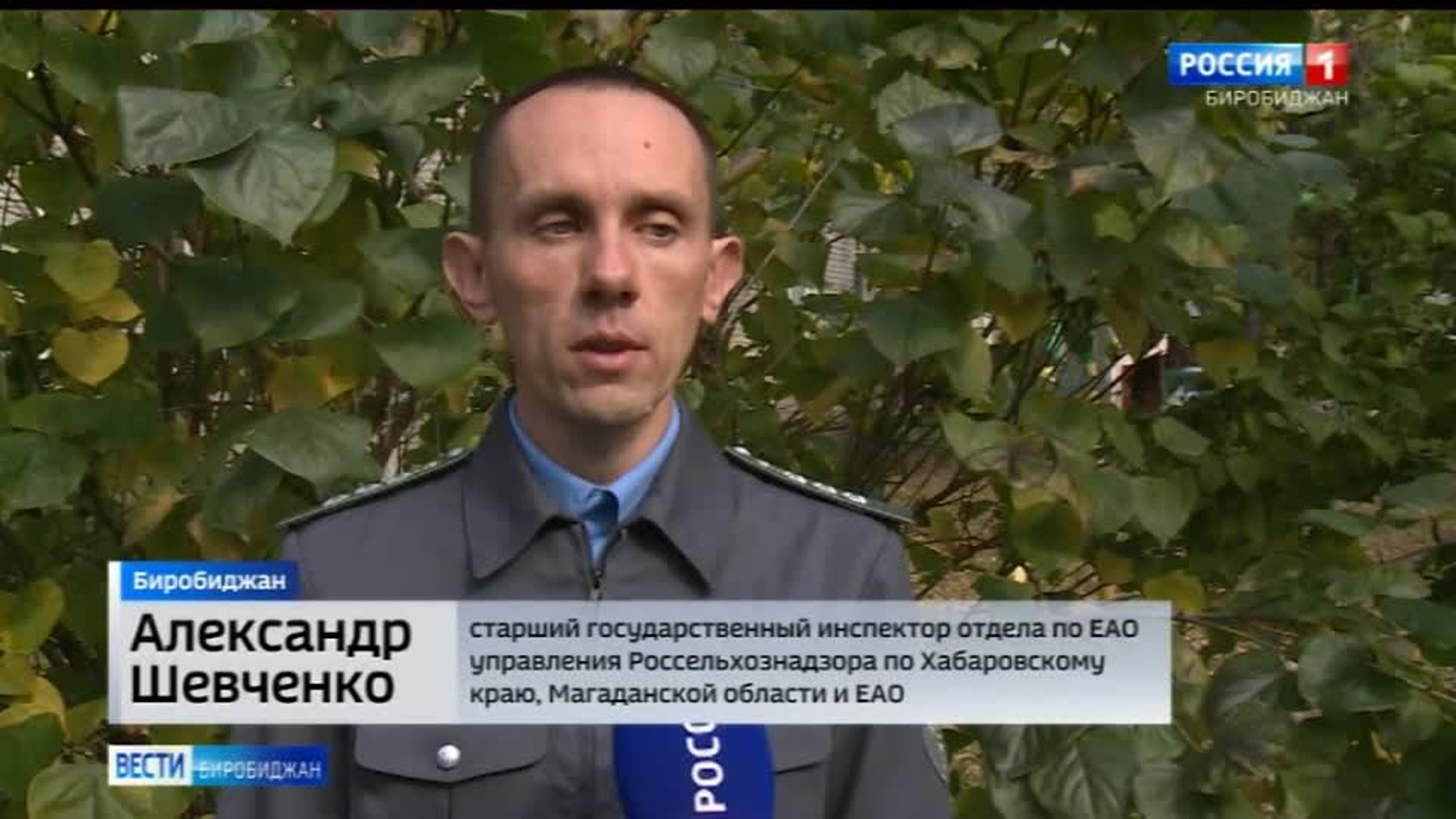 Количество несанкционированных свалок уменьшилось в ЕАО