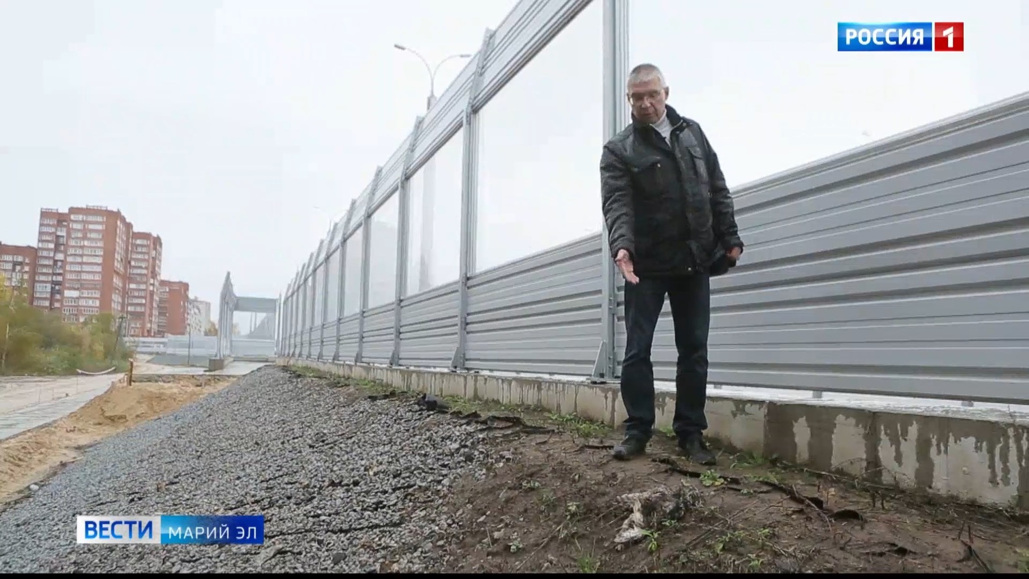 Вдоль новой магистрали в Йошкар-Оле находят много погибших птиц