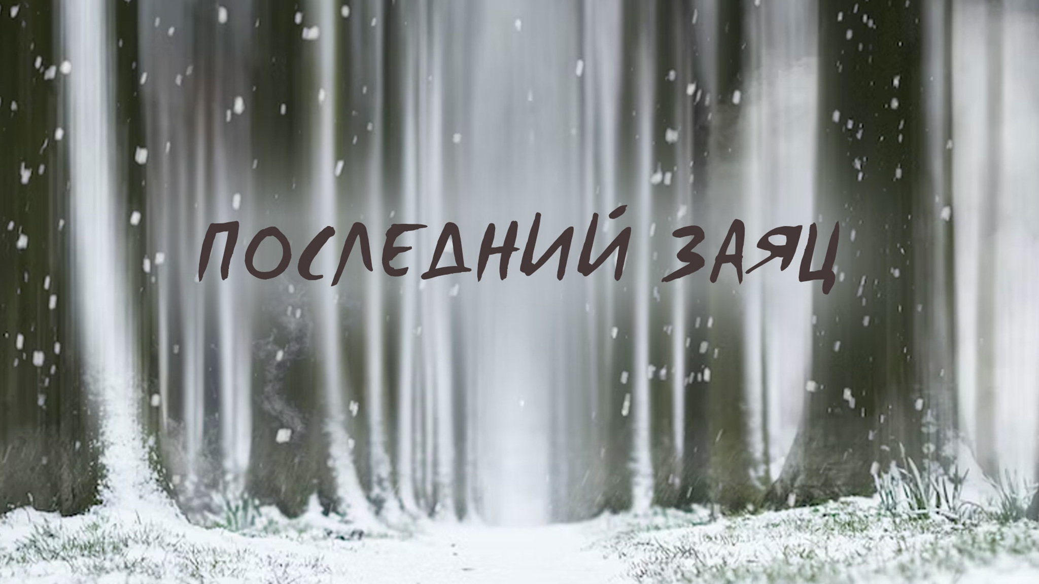 Последний заяц