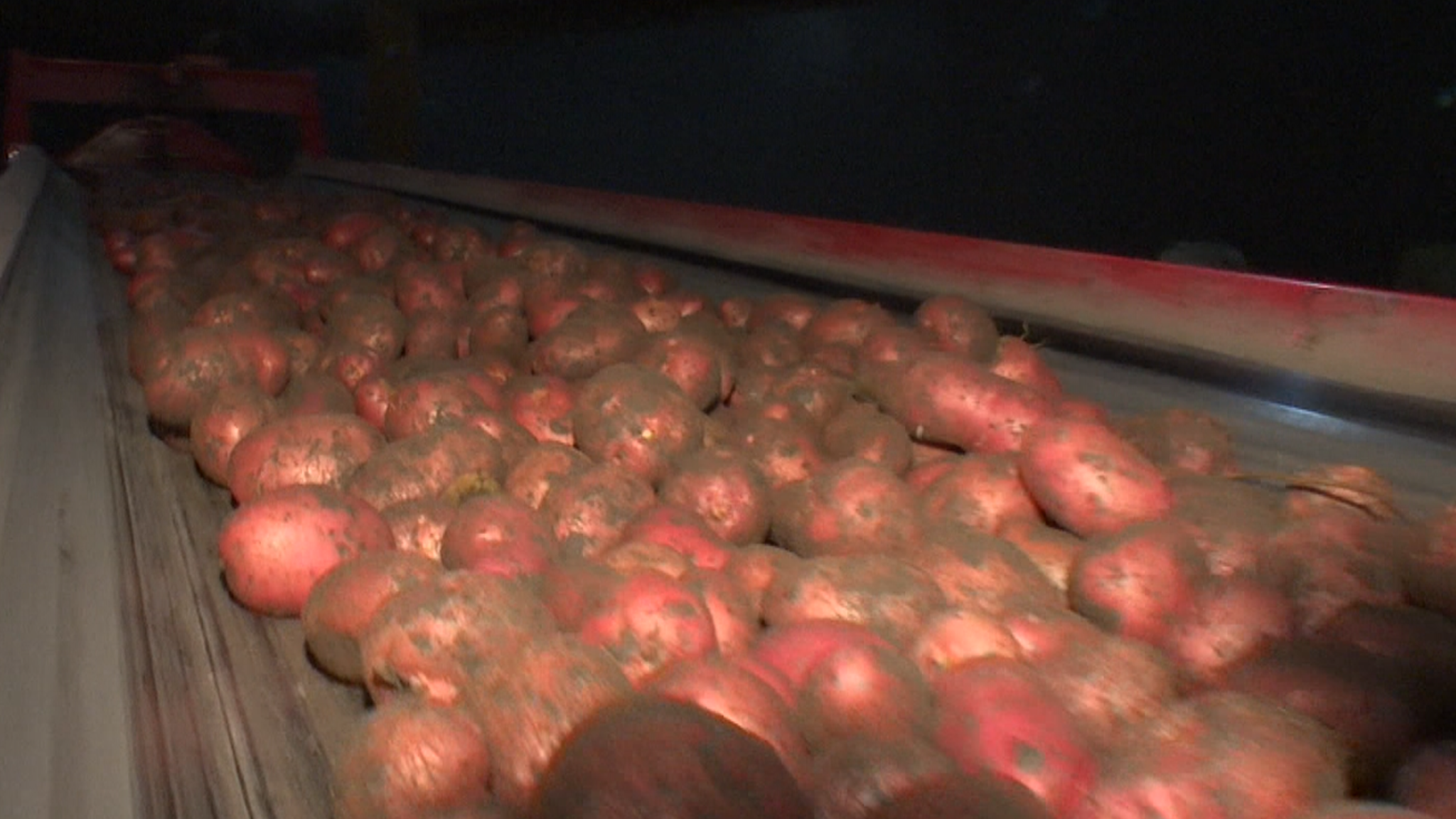 Осенняя посевная кампания на Дону перевалила за экватор