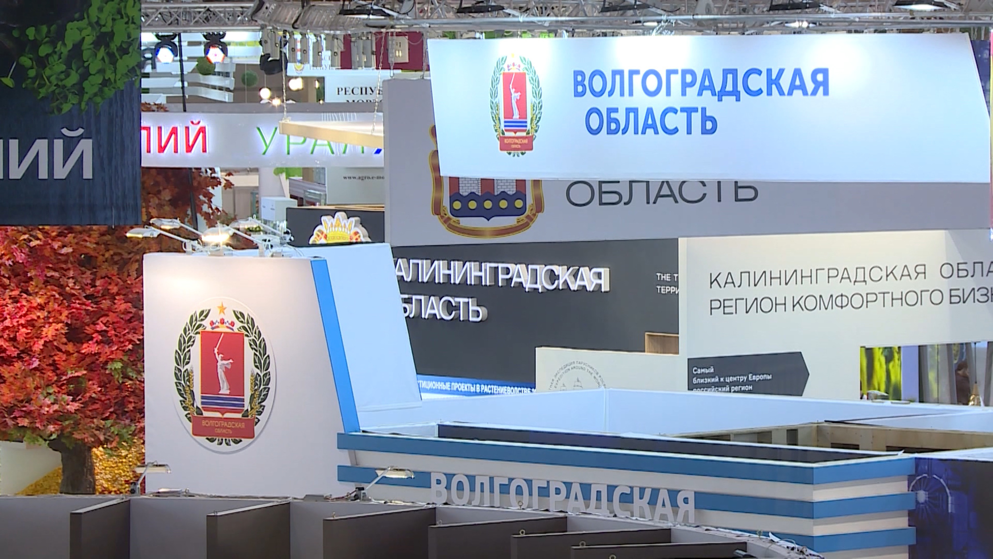 66 наград: волгоградские сельхозпроизводители привезли региону новые победы