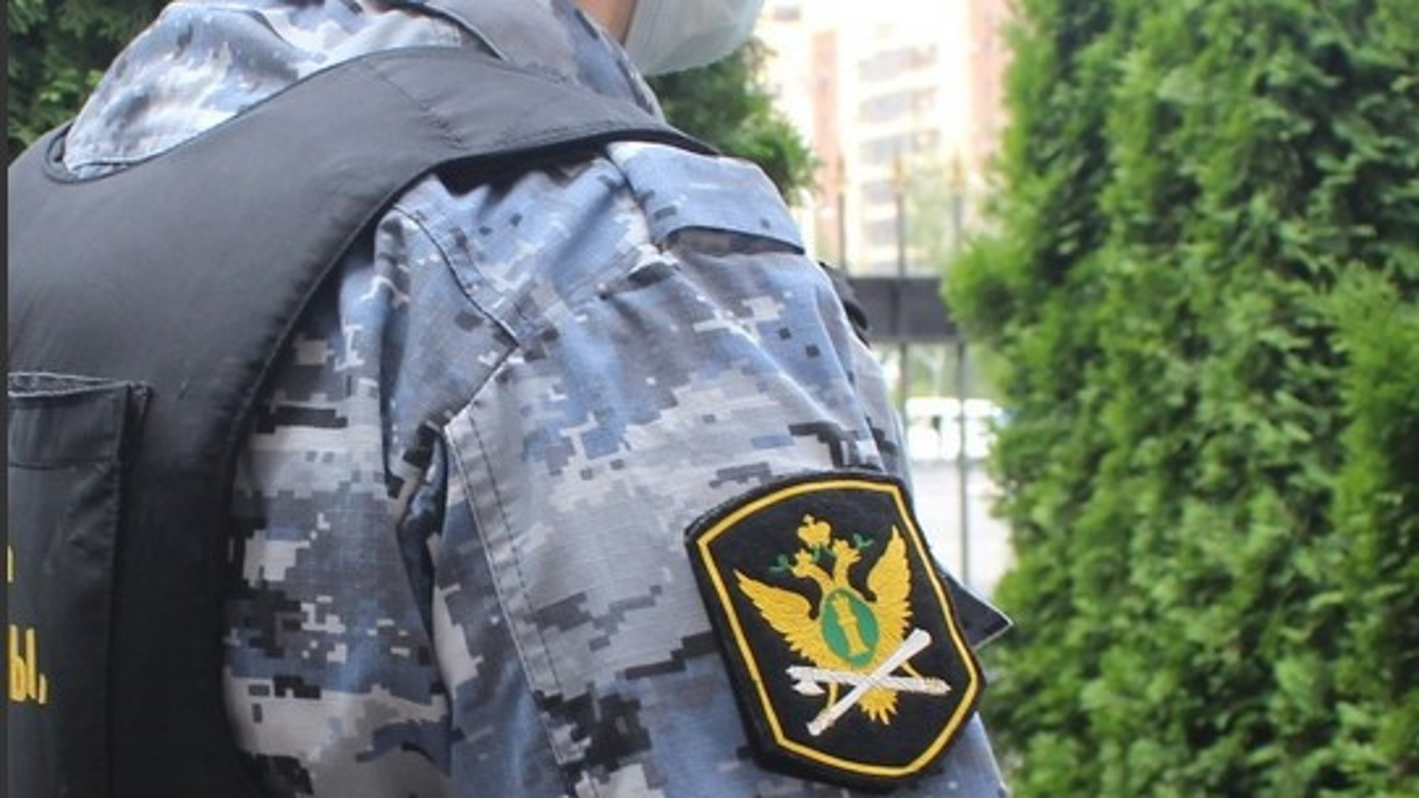 Алиментщики на Ставрополье заплатили своим детям 268, 6 миллиона рублей