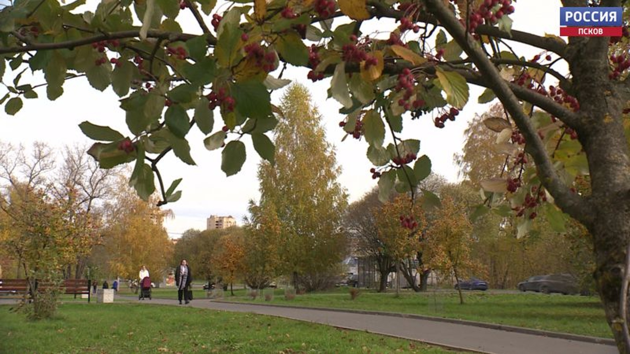 Ждать ли псковичам снега на Покров Богородицы, и порадует ли еще октябрь солнечными днями?