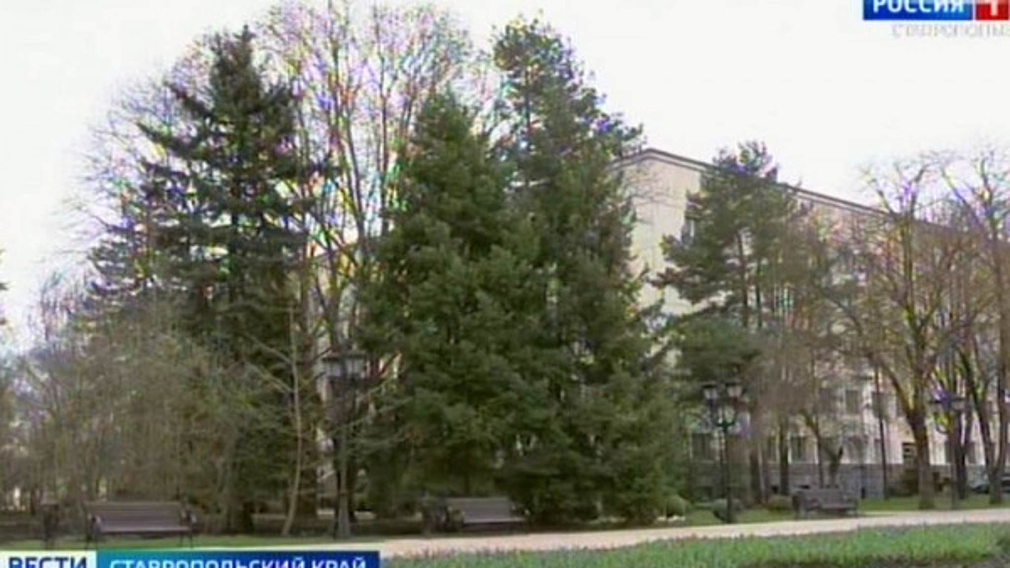 Синоптики прогнозируют на Ставрополье похолодание и усиление ветра