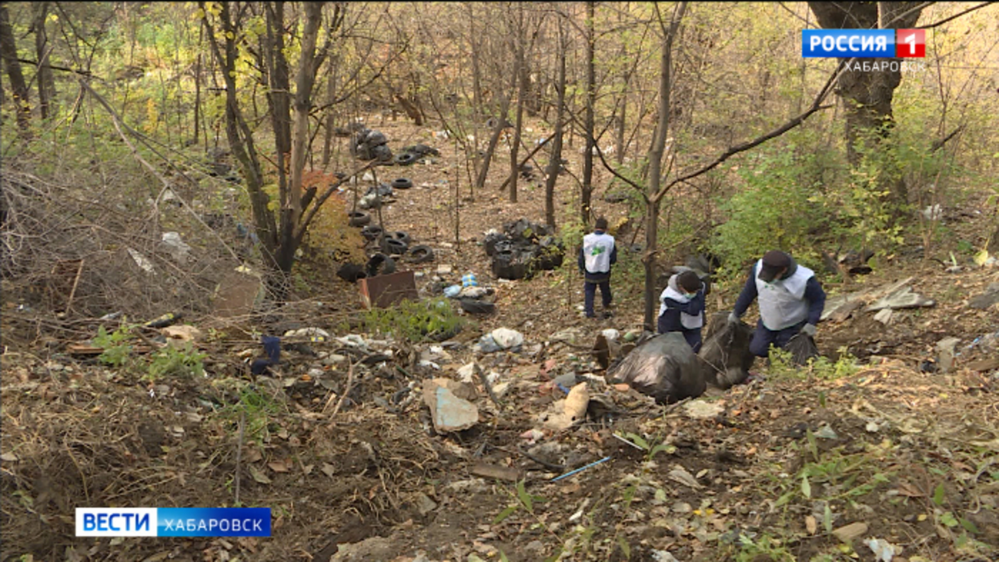 Одну из самых больших "стихийных" свалок города ликвидируют в Индустриальном районе Хабаровска