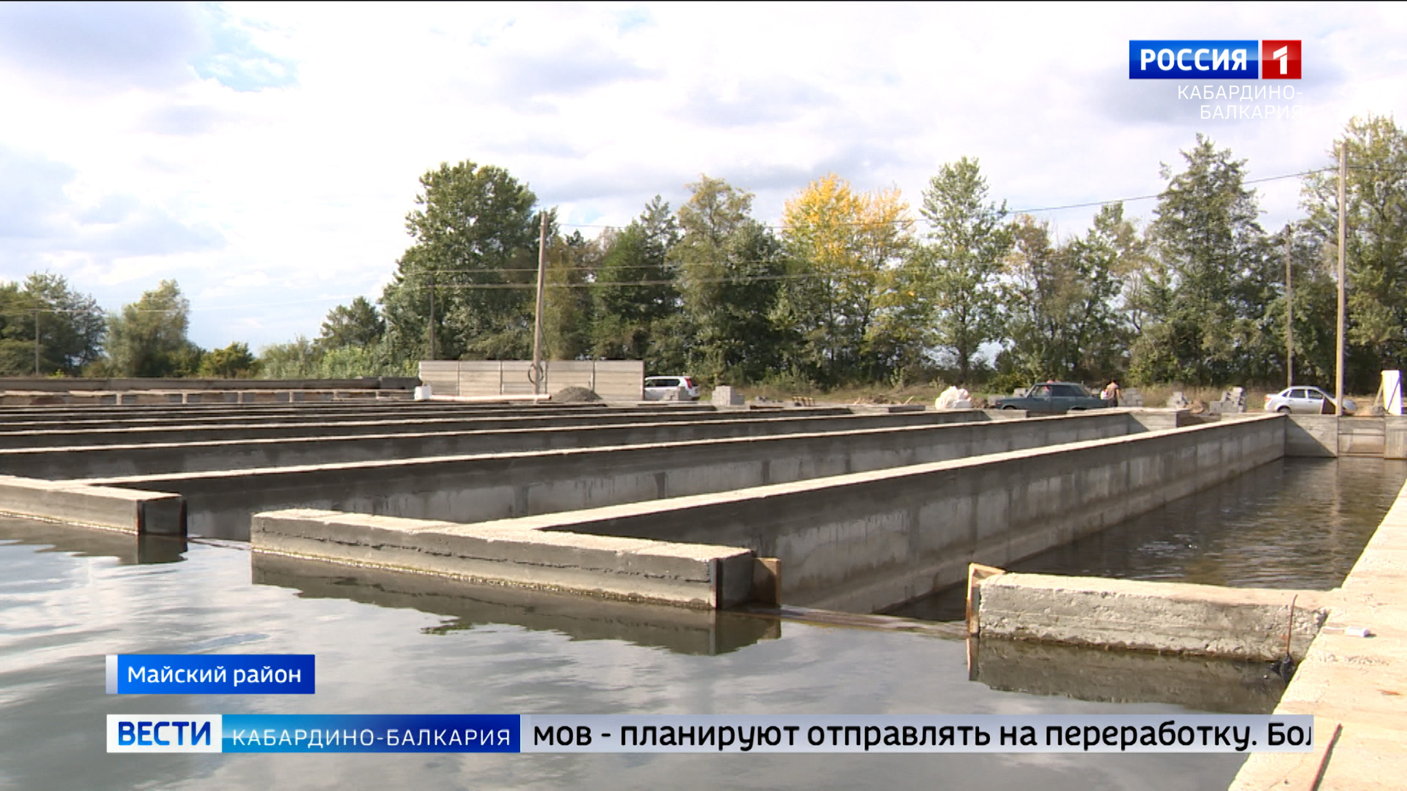 В Майском районе создали предприятие по разведению рыбы лососёвых пород