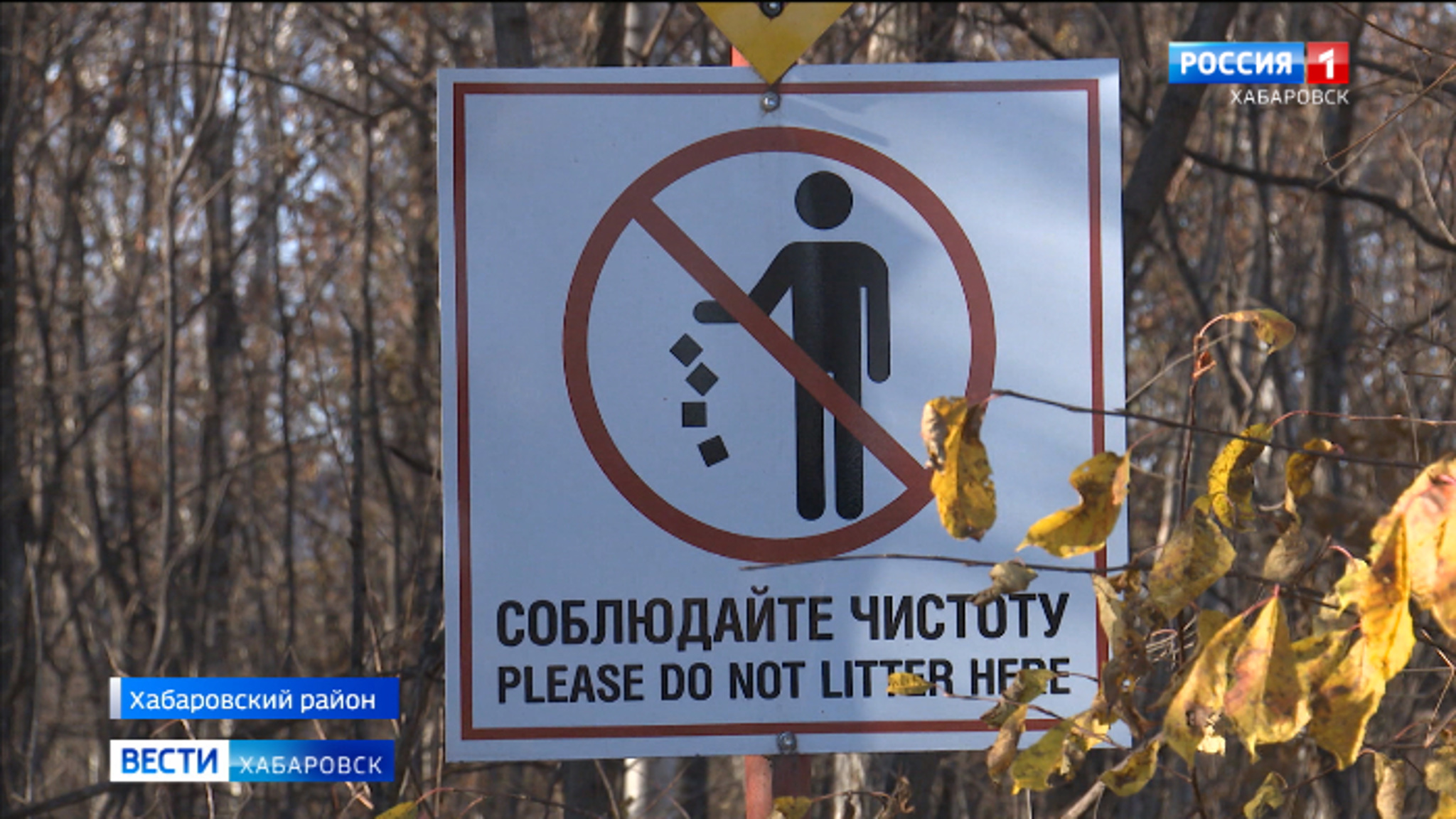 На мопеде – в заповедник: как в охраняемых зонах края борются с нелегальным туризмом