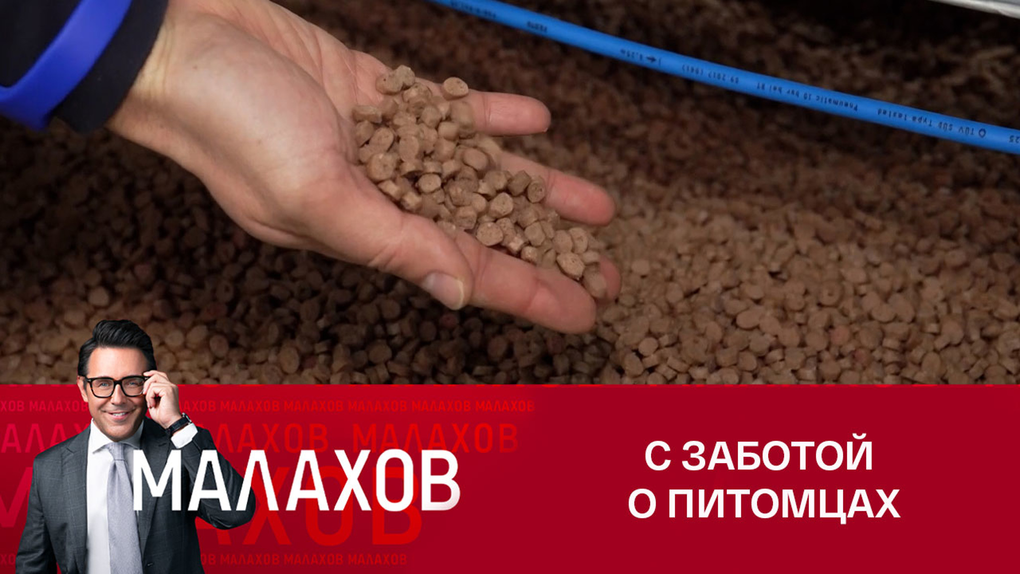 Производители кормов для животных – об успехах импортозамещения