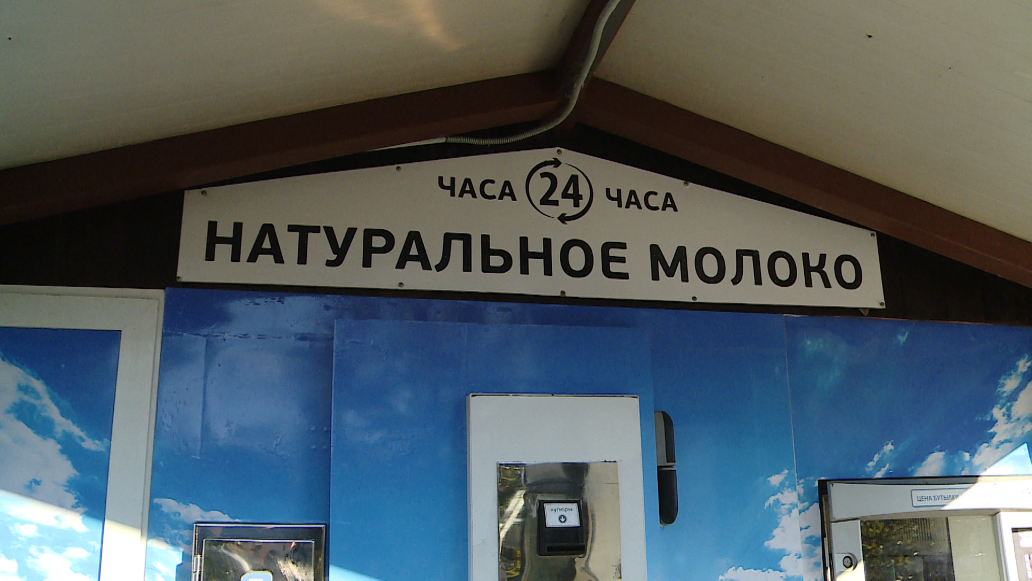 Обладательница сельхозгранта планирует открыть в Камышине второй молокомат