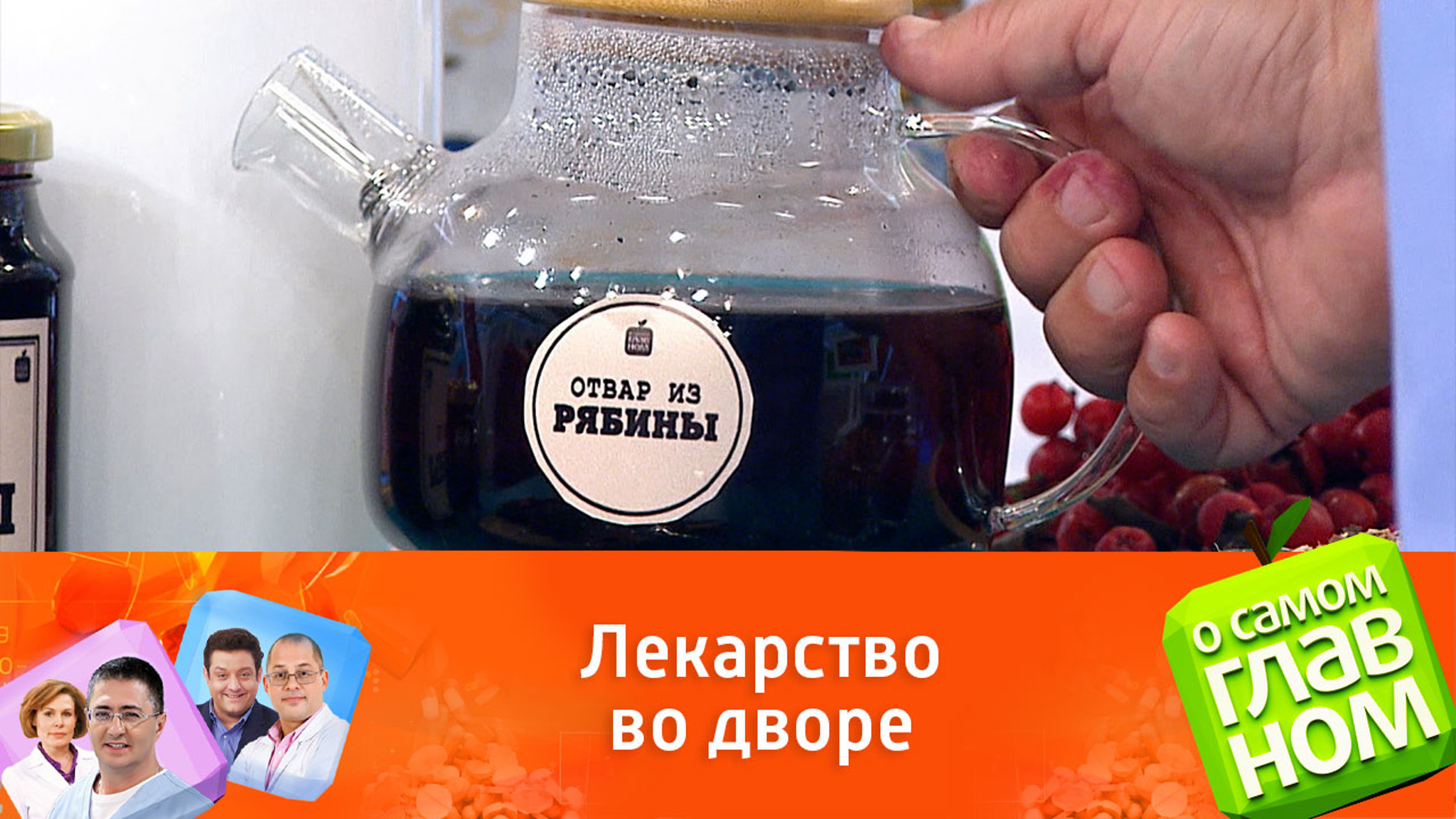 Полезные свойства рябины