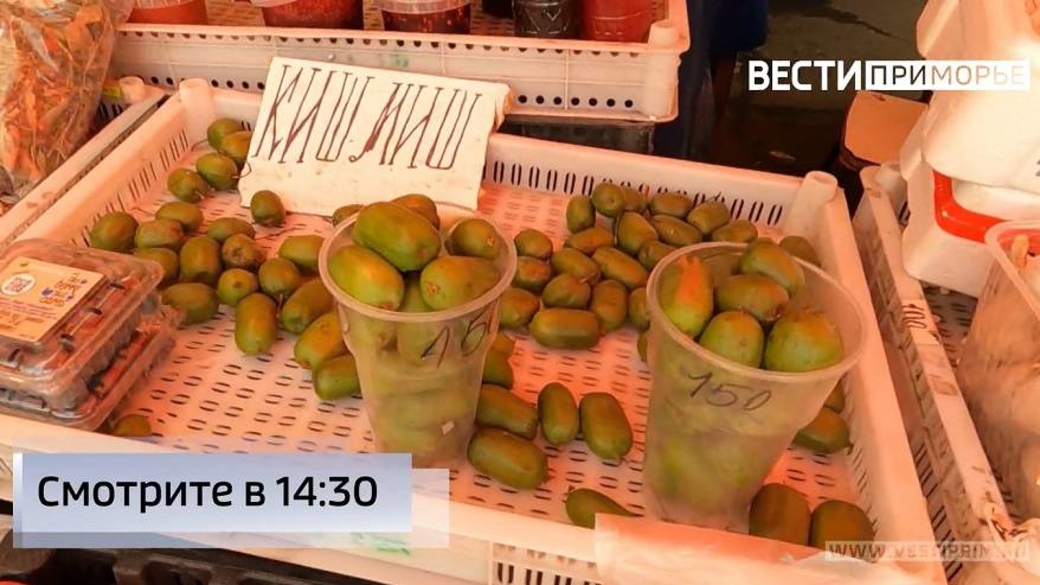 «Какой такой кищмищ, слющай»: Чудо-дар из уссурийской тайги поставляют из-за рубежа?