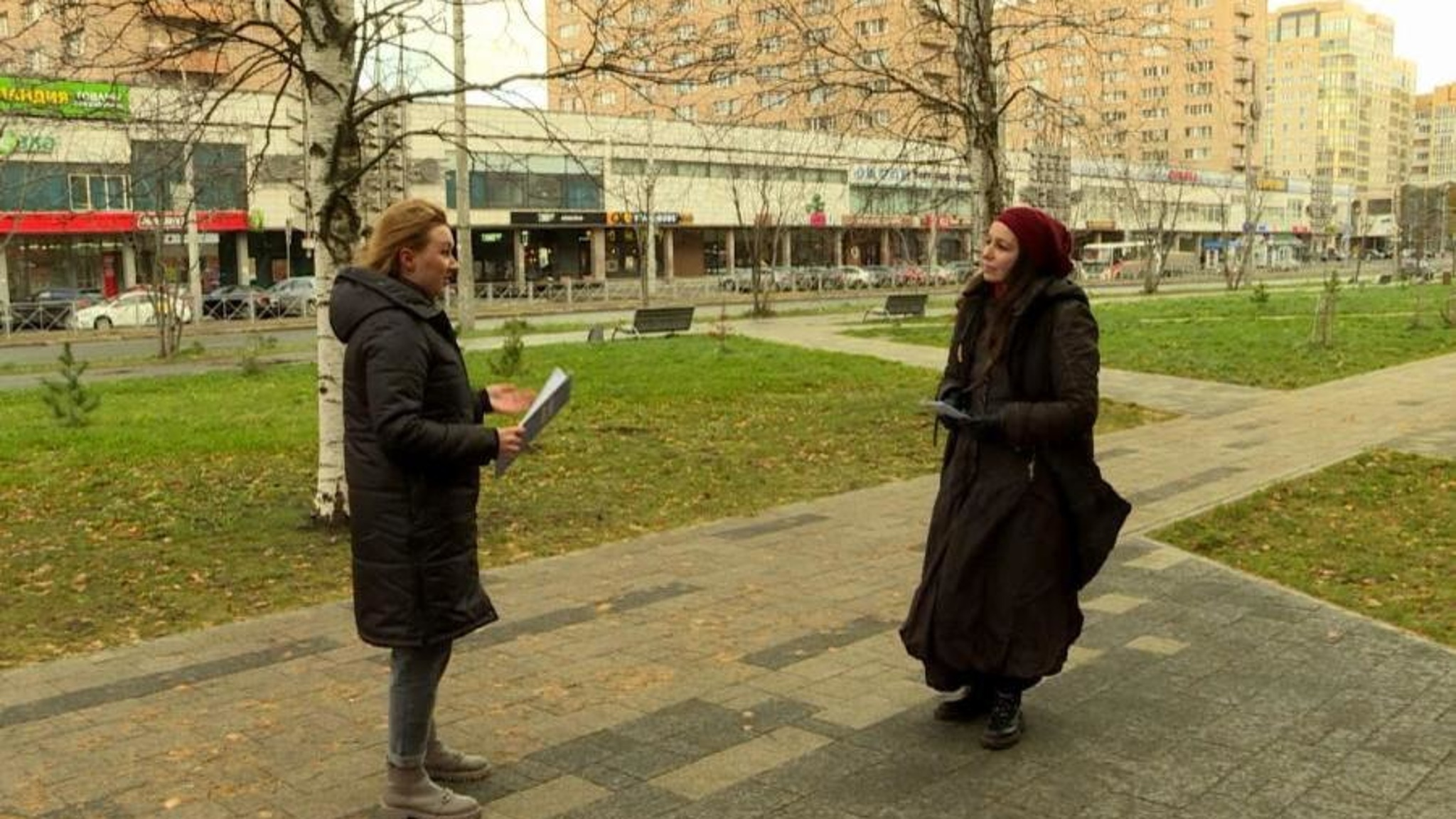 В Архангельске активисты посчитали деревья