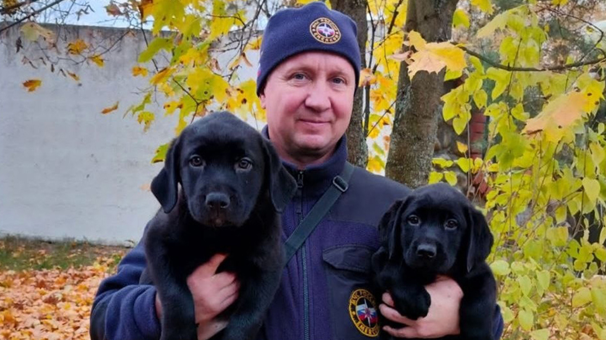 Двухмесячные лабрадоры пополнили штат амурского управления МЧС