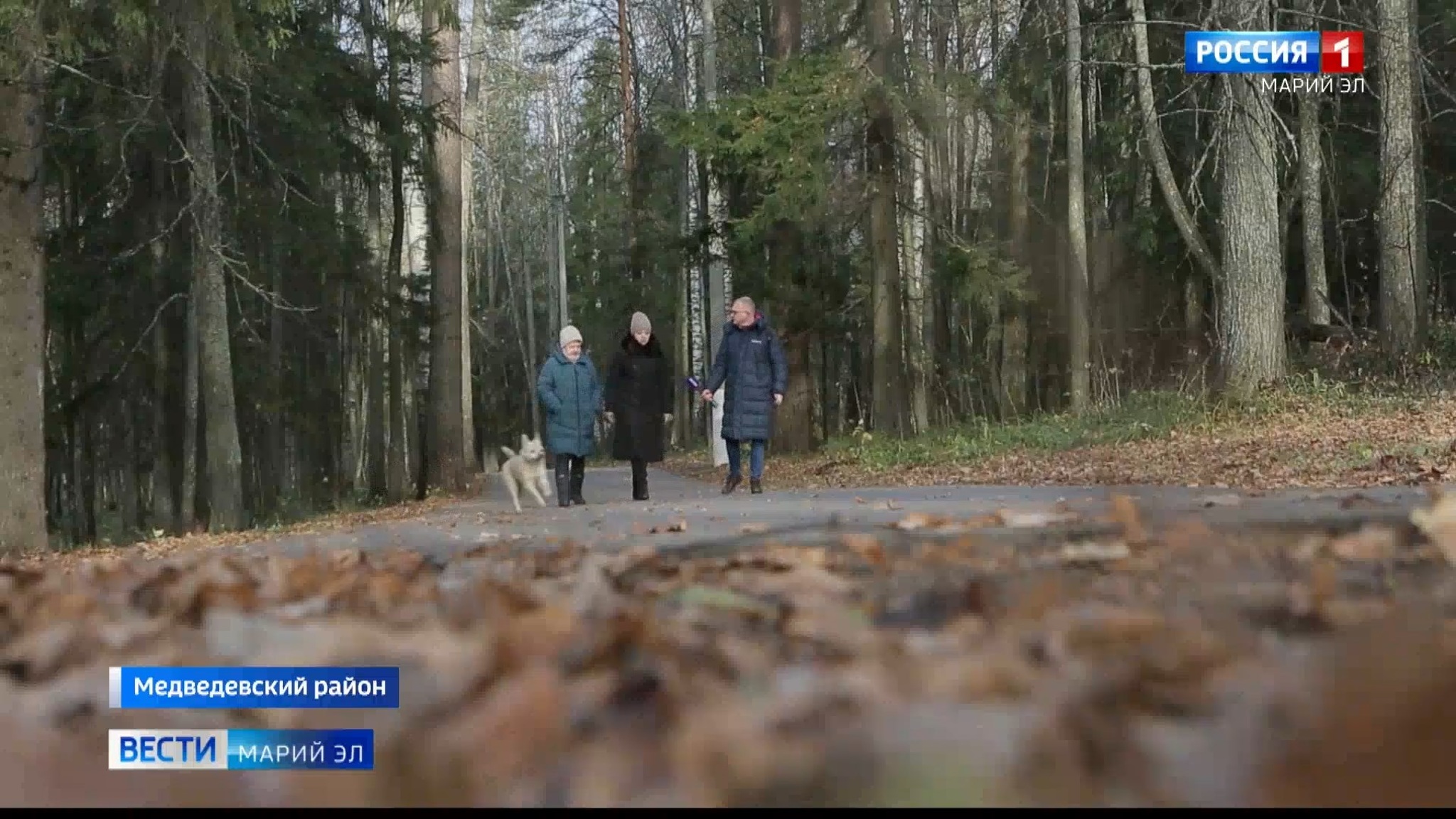 "Главное, что живы": беженцы из Украины обживаются в Марий Эл