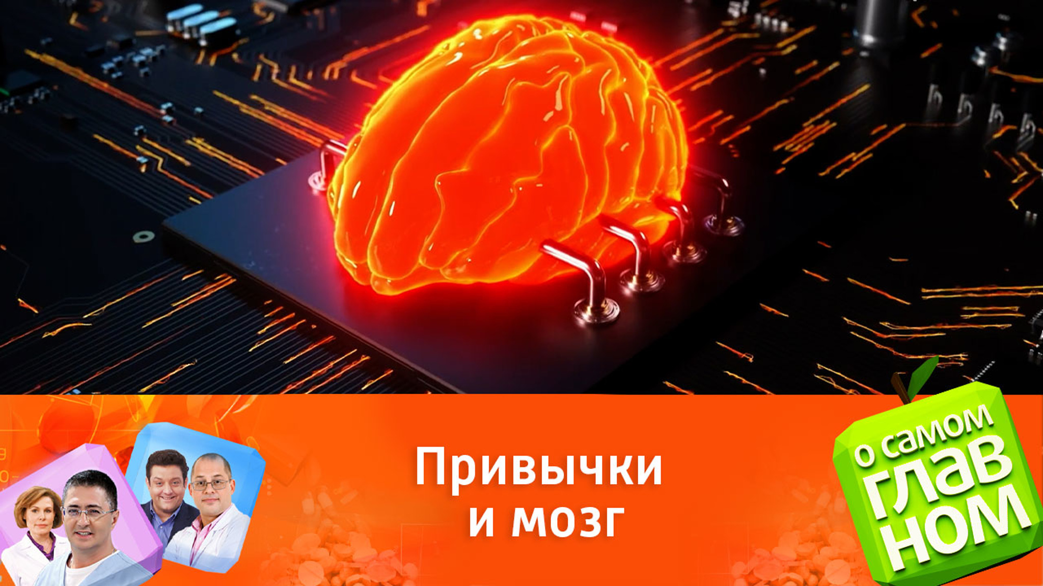 Какие бытовые привычки губят мозг