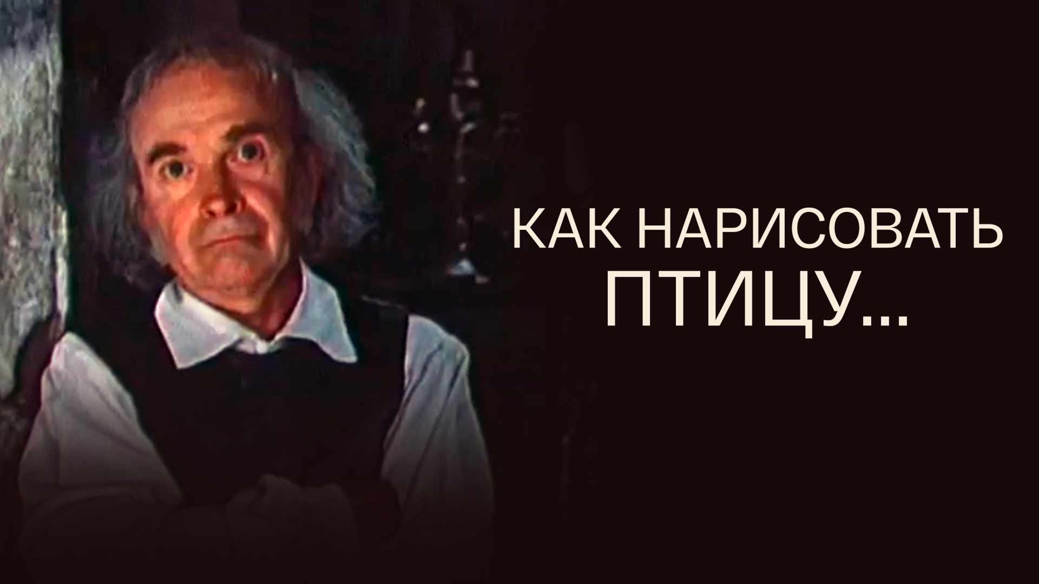Как нарисовать птицу...