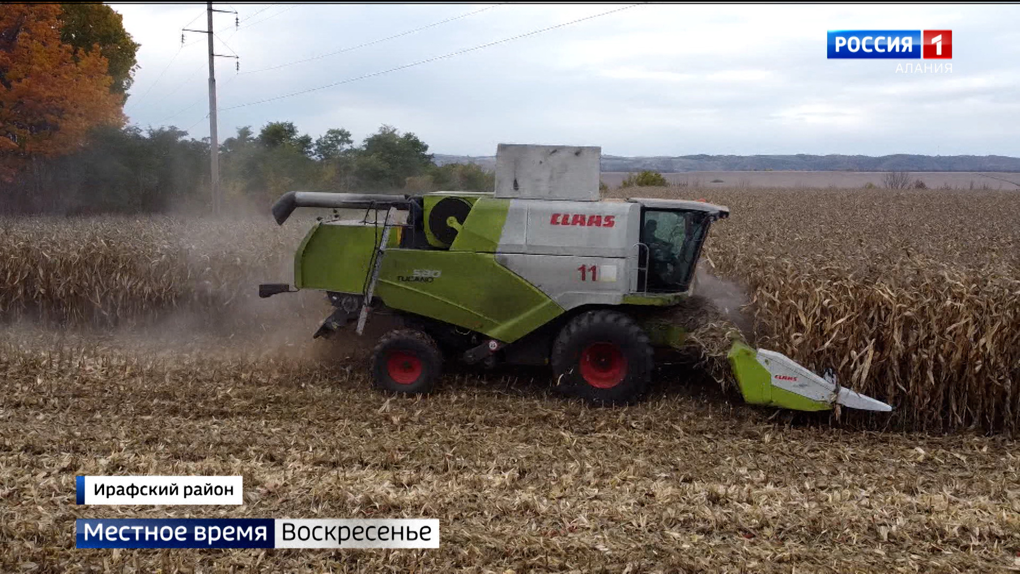 В Ирафском районе в разгаре сбор урожая кукурузы