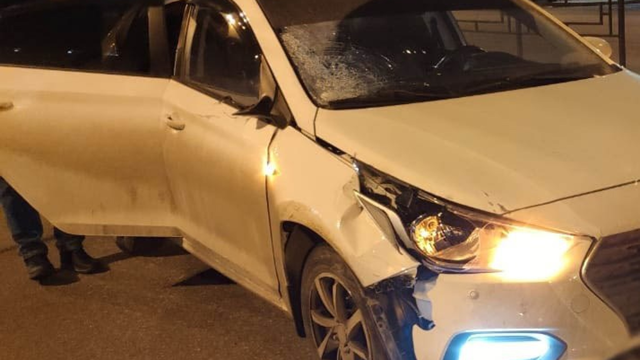 Женщина с собакой погибли в ДТП в Ижевске