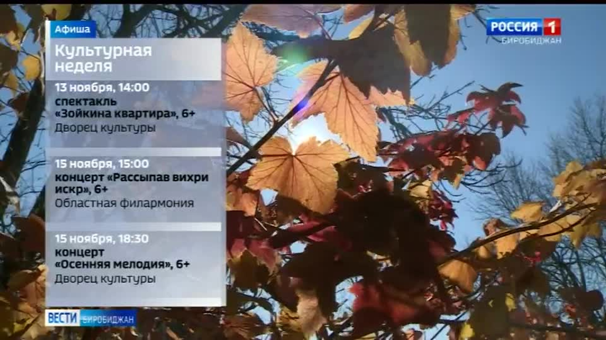 Обзор культурных мероприятий 9-15 ноября