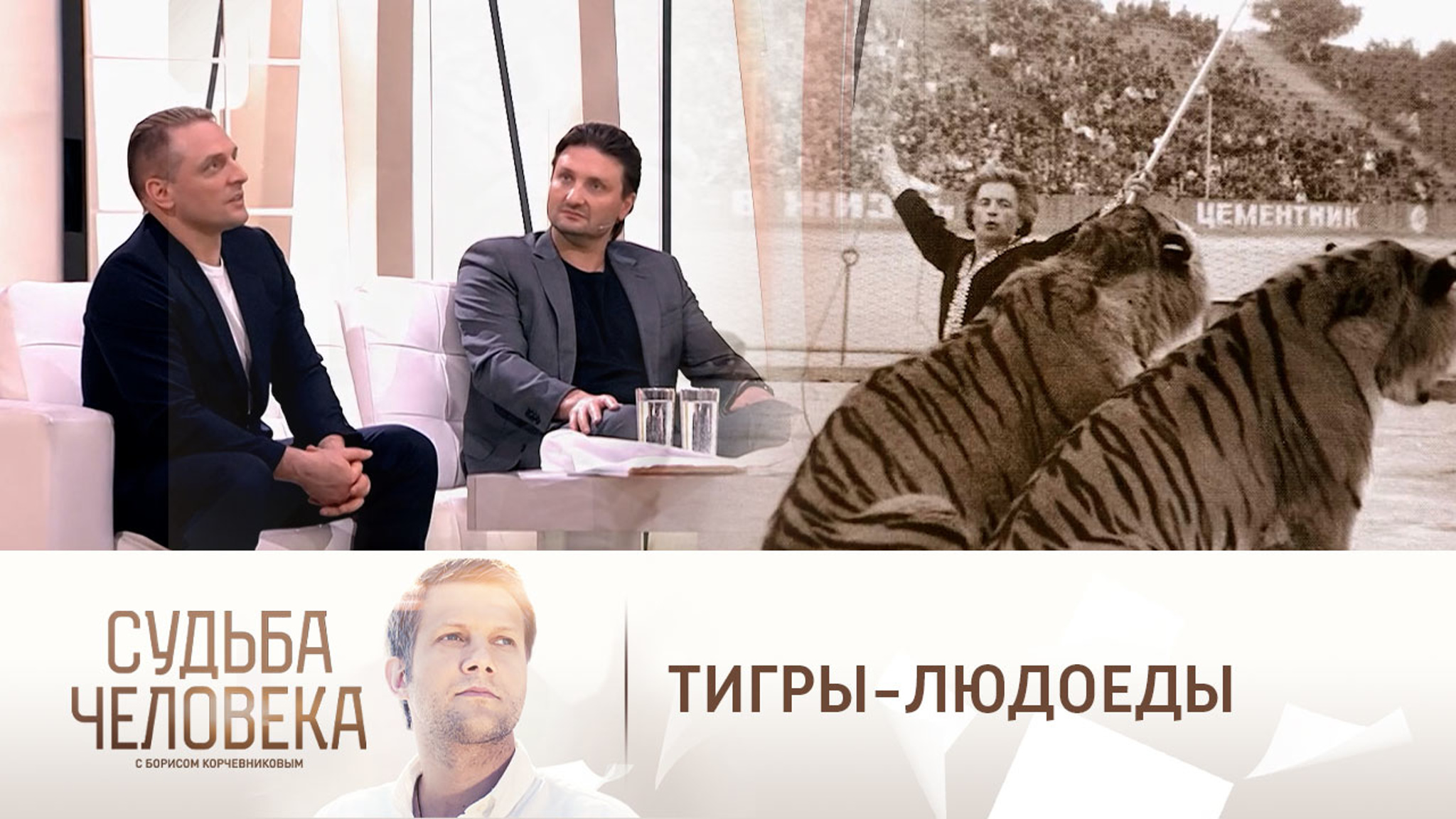 Травмы семьи Запашных