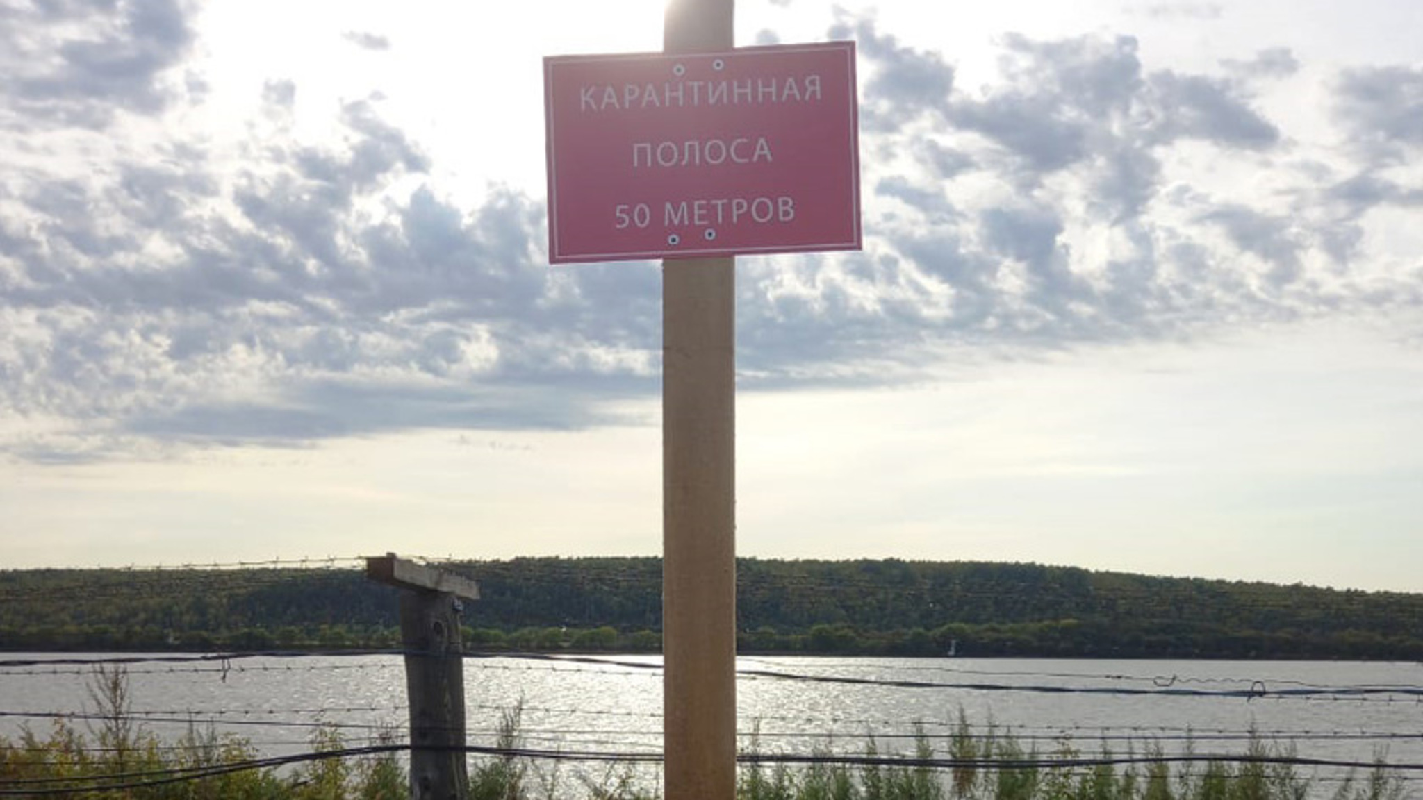 Карантинная полоса протяженностью более тысячи километров оборудована в Приамурье