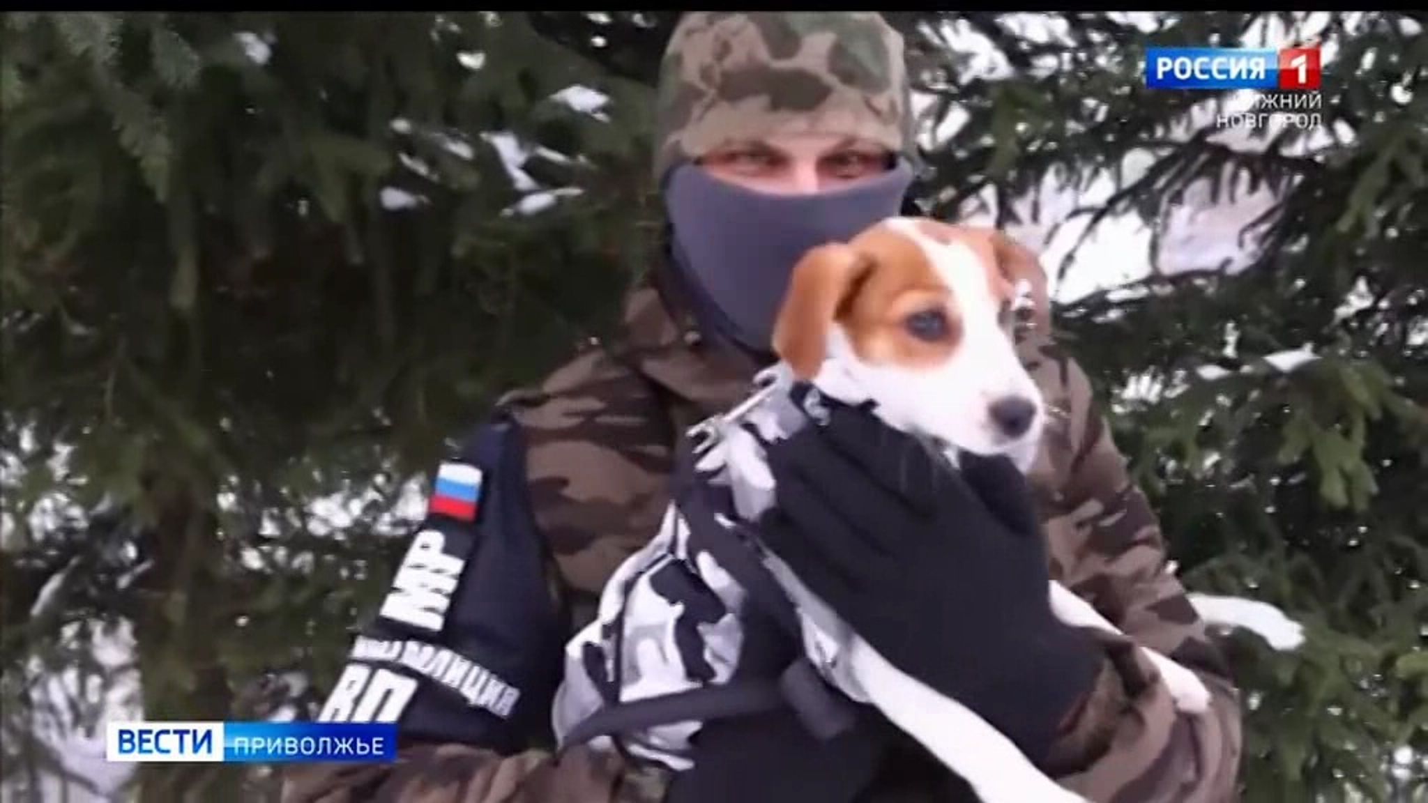 Собака мобилизованного нижегородца стала талисманом полка