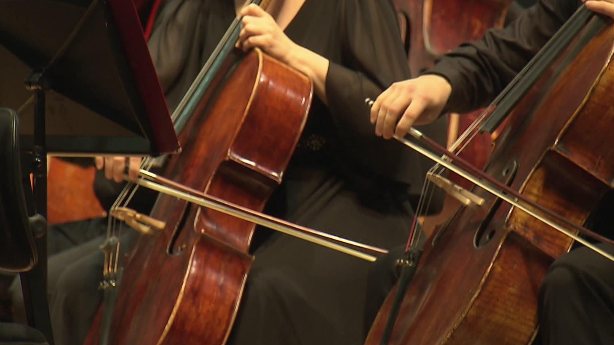 Цикл концертов "Другое пространство" начался в Московской филармонии