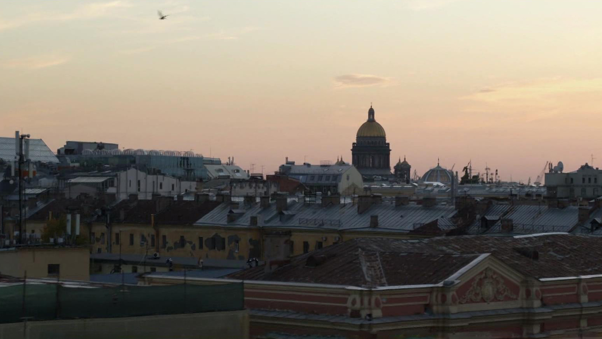 Время раскрывать преступления (сюжет программы "Вести")