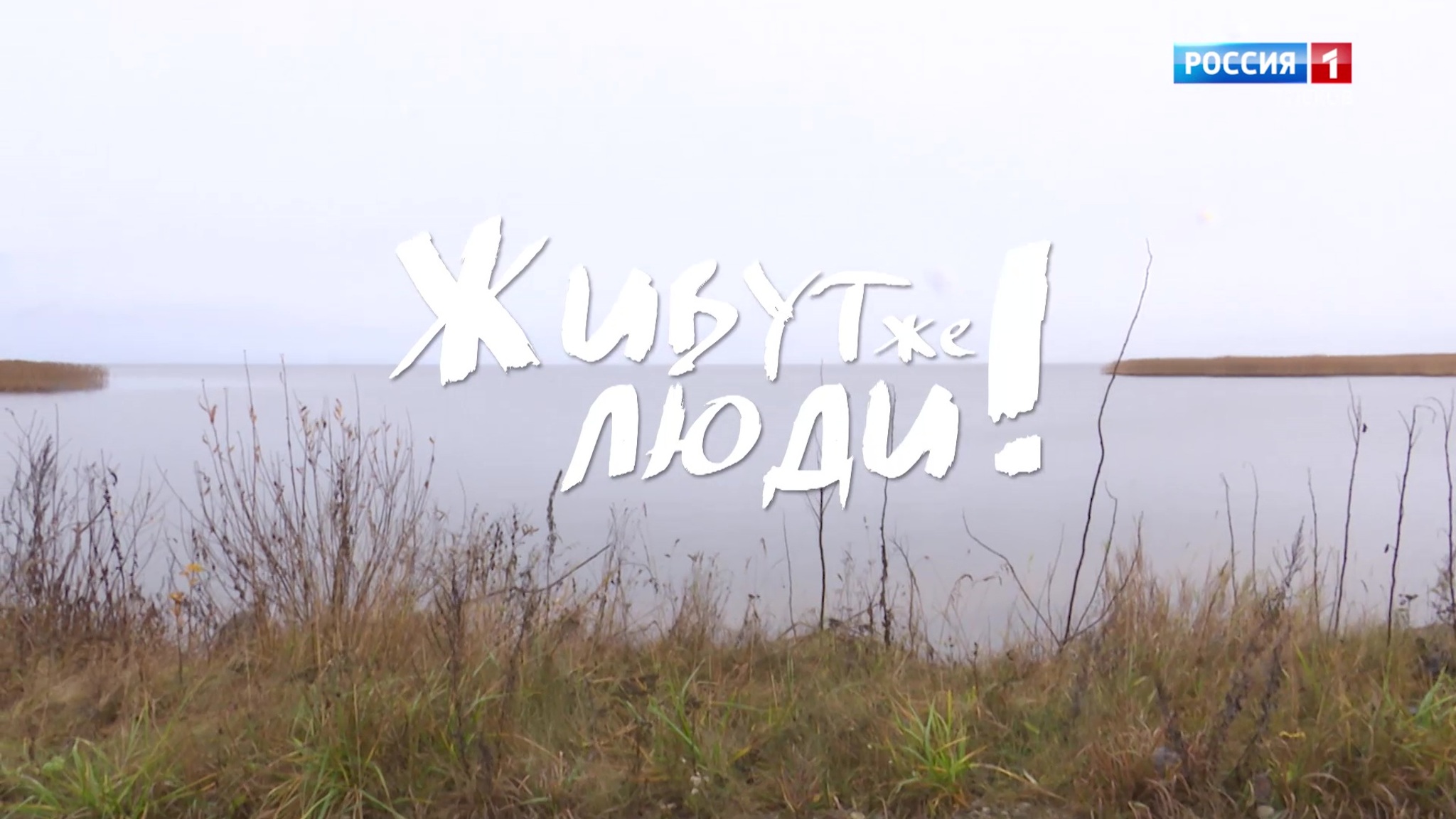 Живут же люди. Рассадиновы
