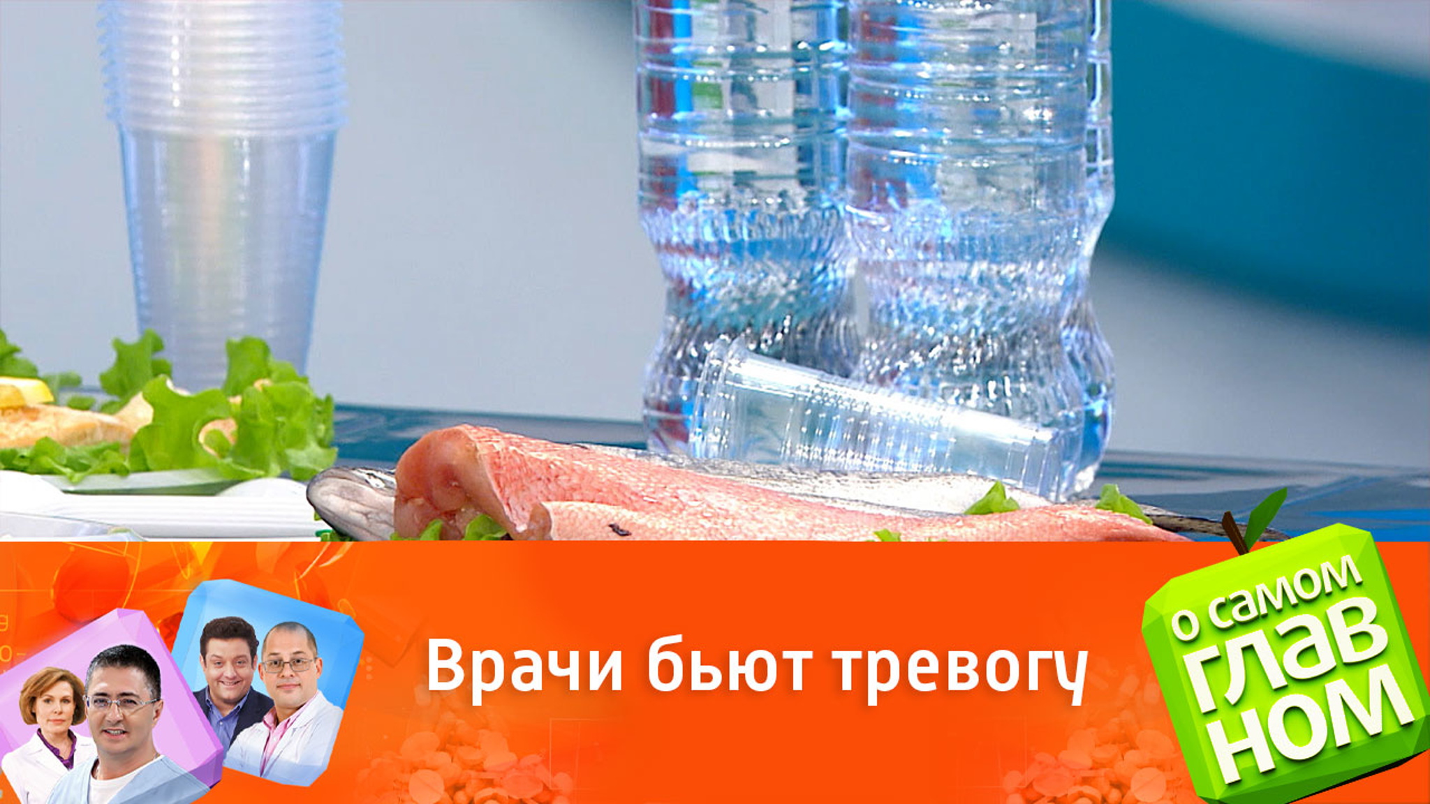 Микропластик внутри нас