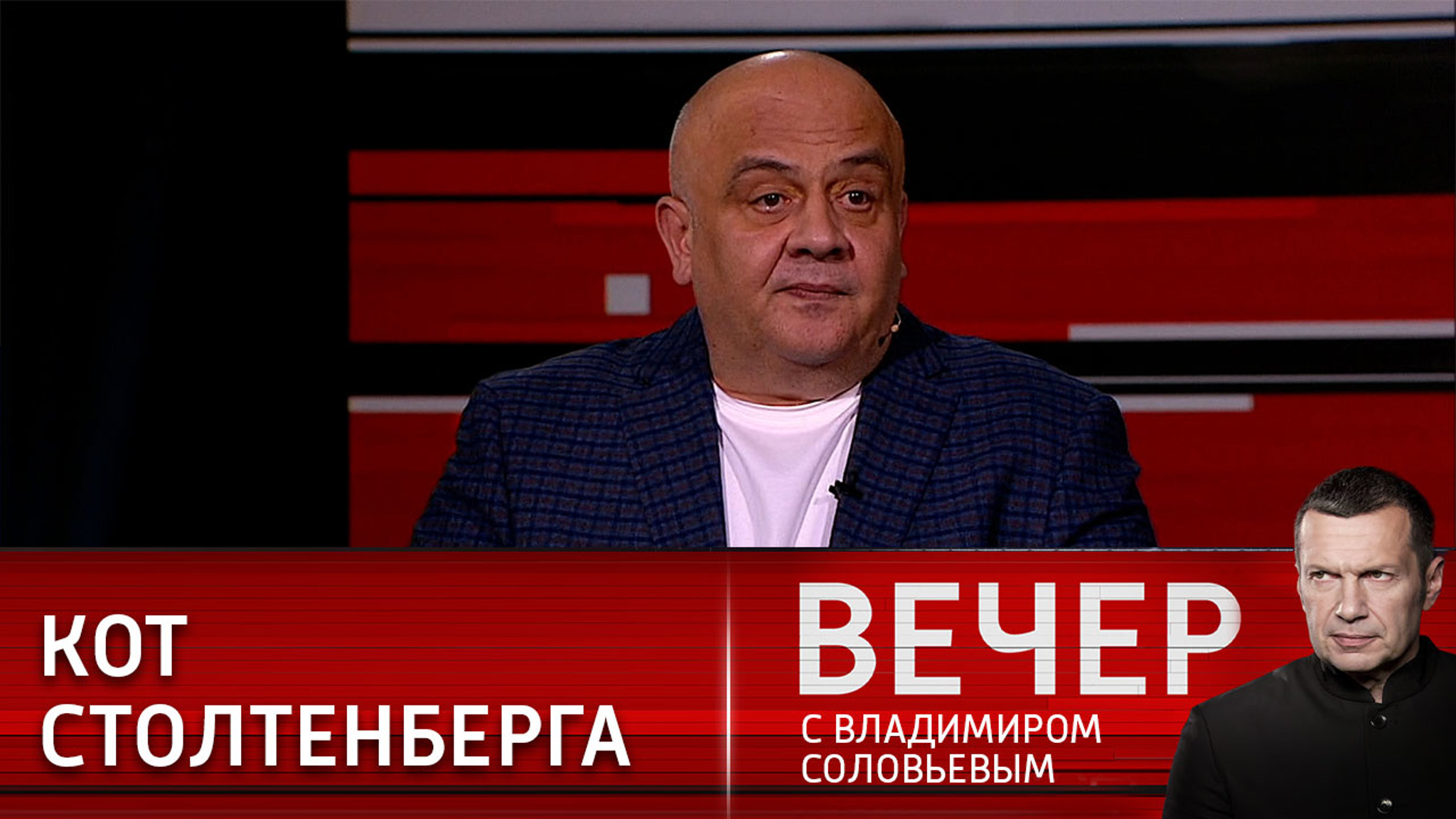 Как на Украину реагирует кот Столтенберга
