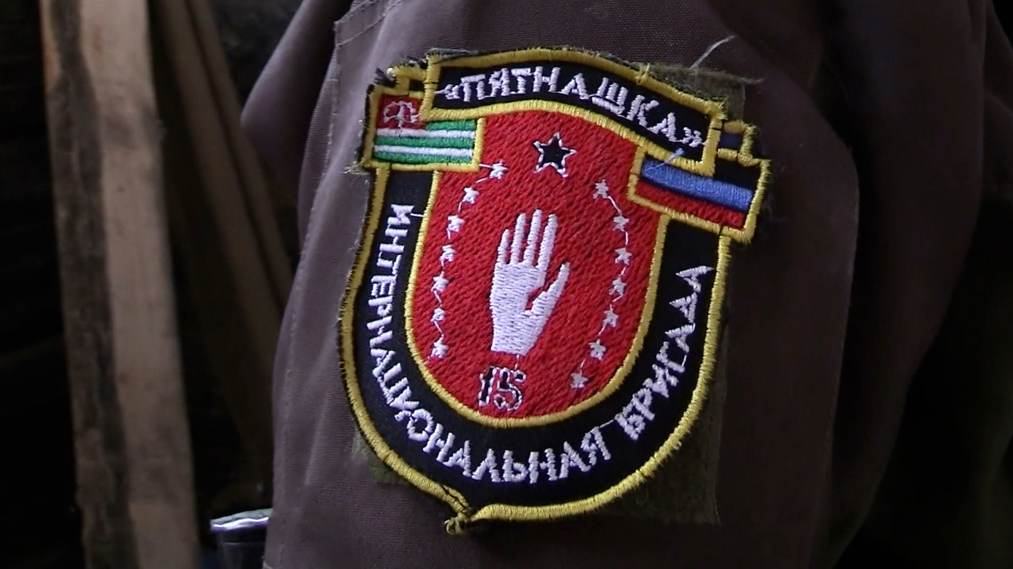 К обстрелам Донбасса привыкли даже кошки