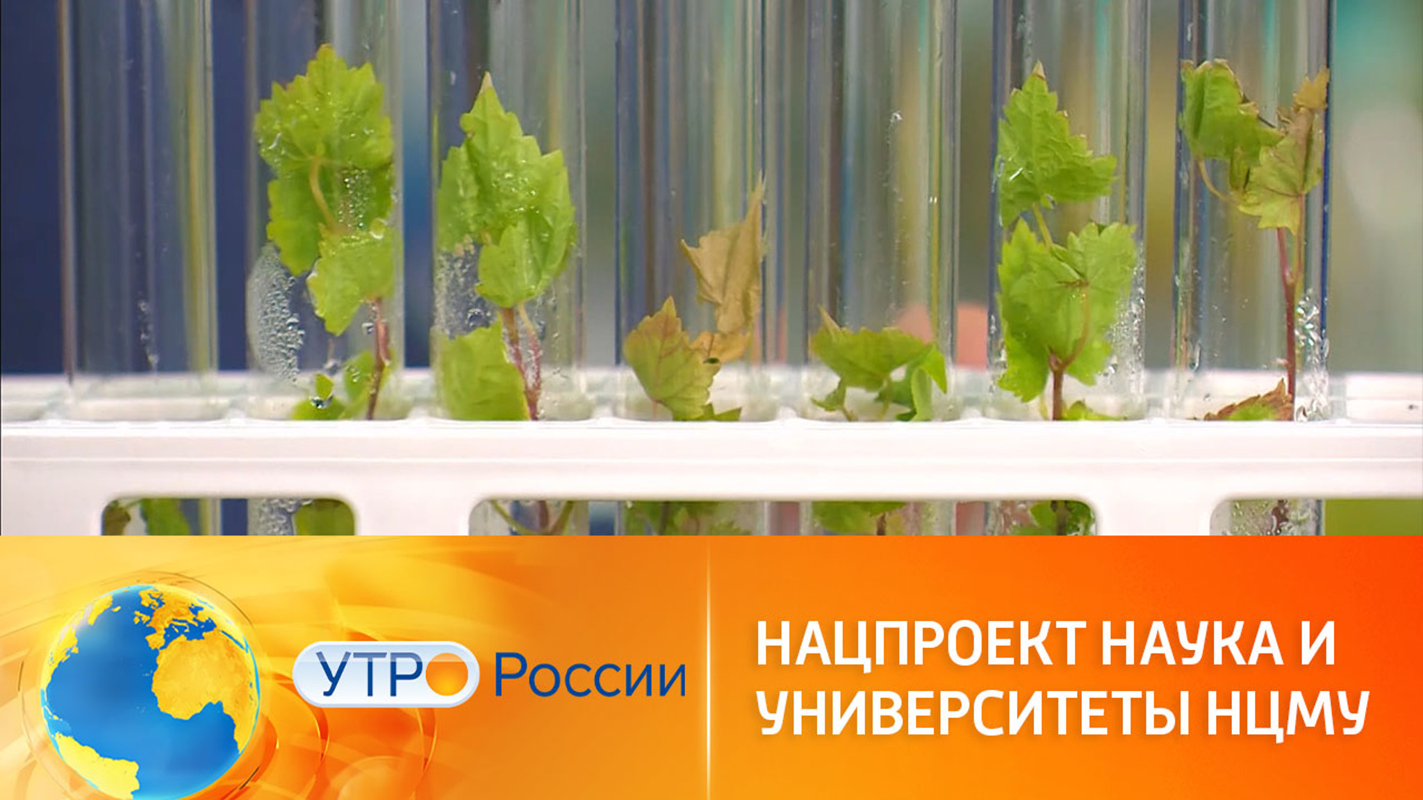 Научные центры мирового уровня в России