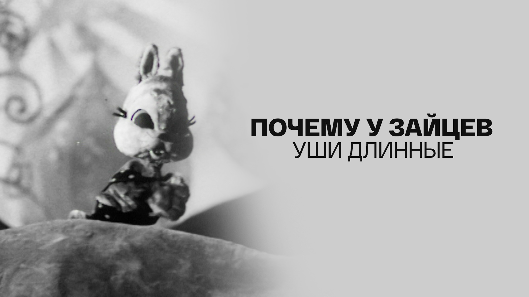 Почему у зайцев уши длинные
