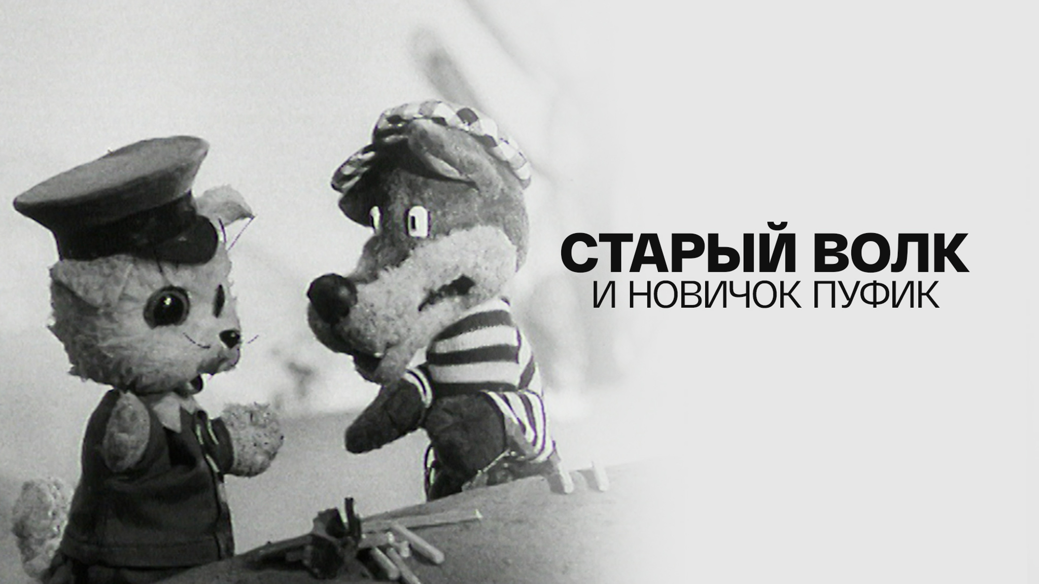 Старый волк и новичок Пуфик