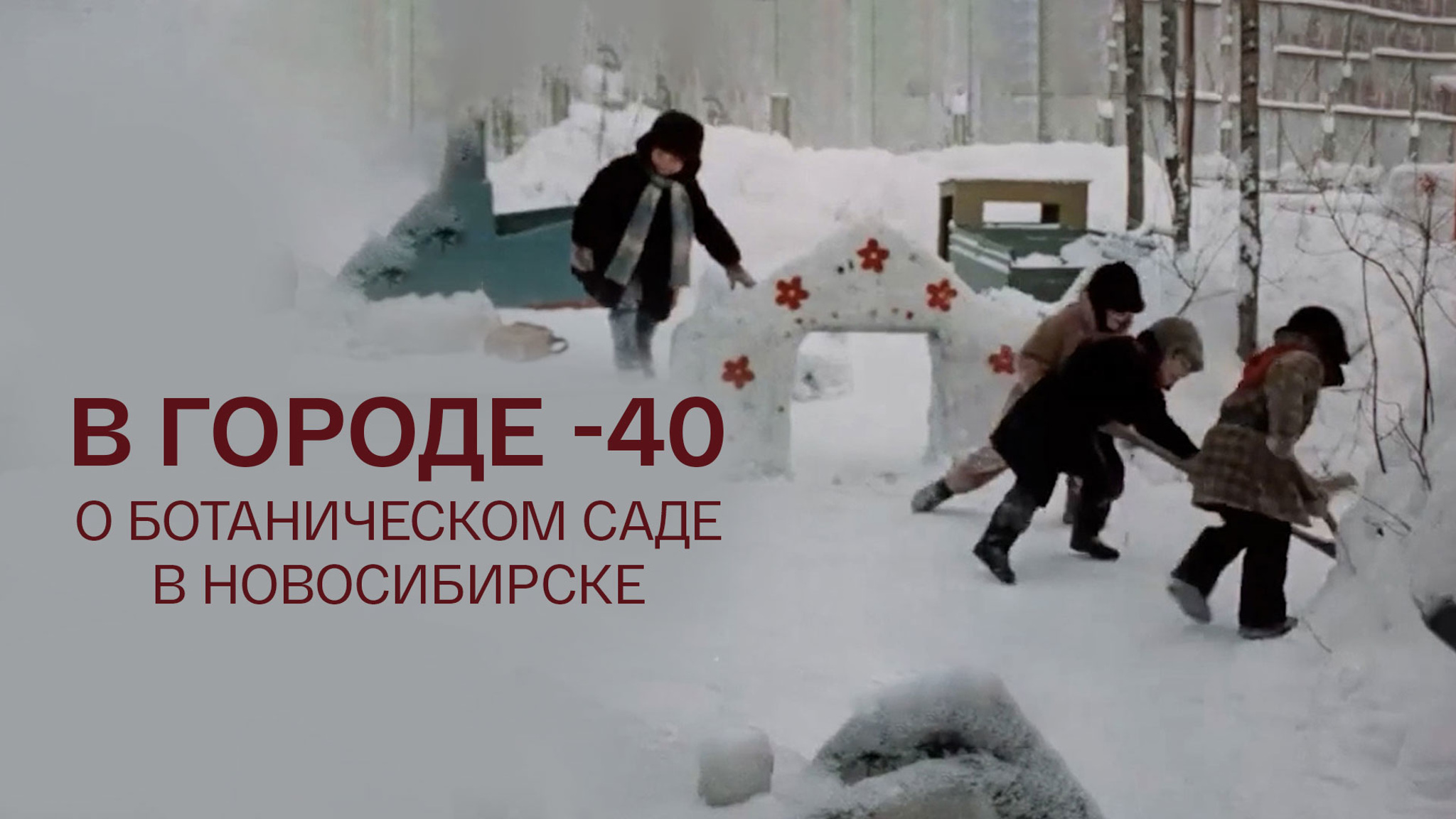 В городе -40. О Ботаническом саде в Новосибирске