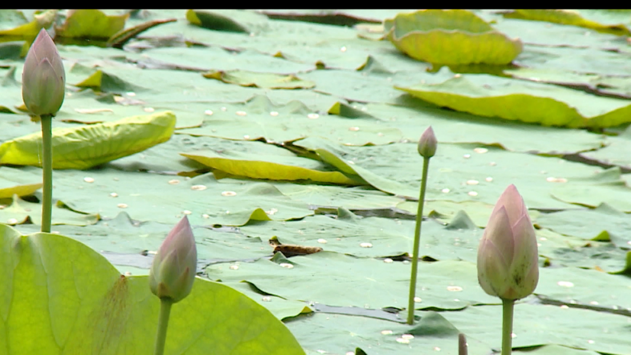 Природа Волгоградской области стала более притягательной для туристов