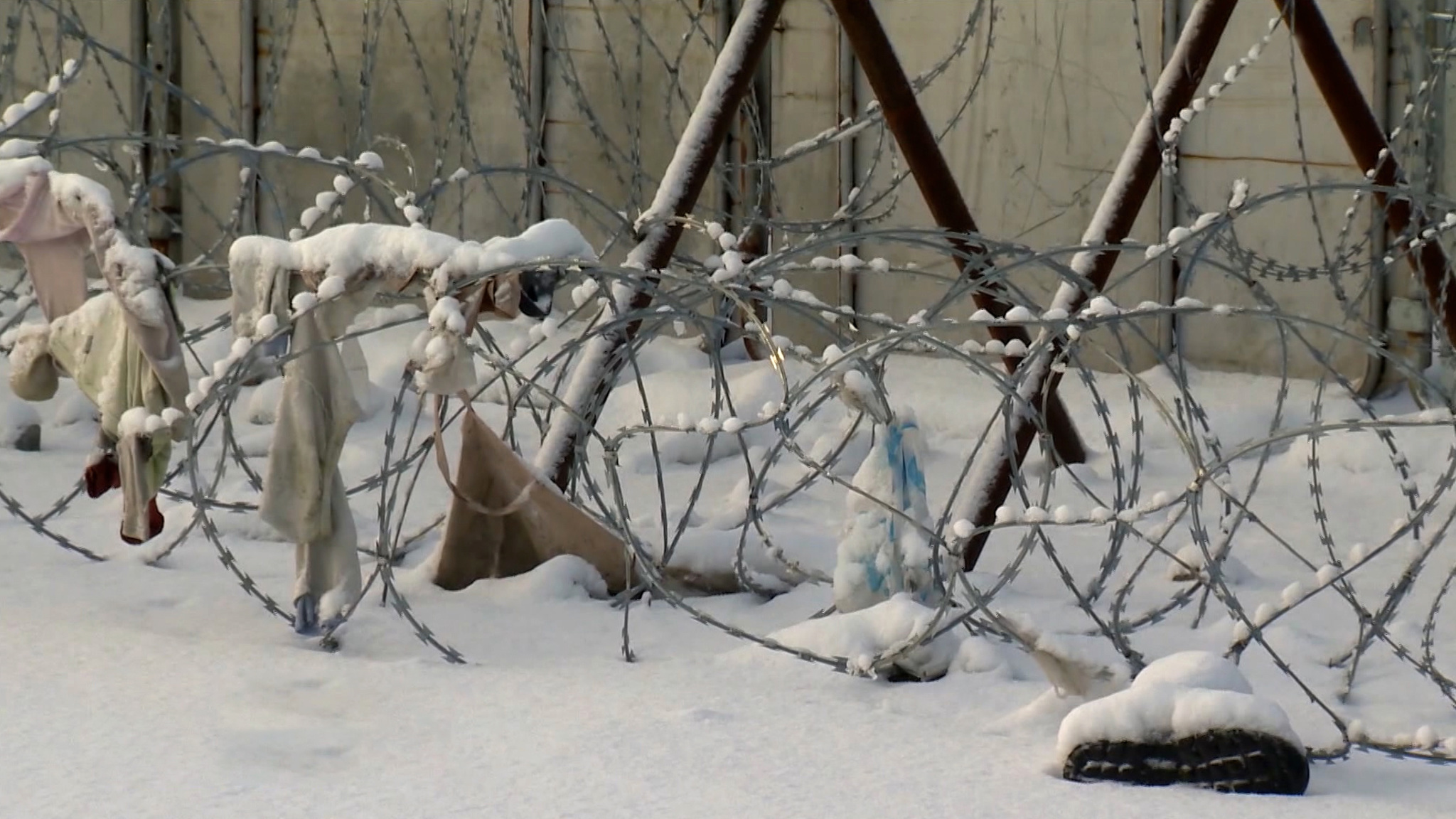 Поляки вытесняют нелегальных мигрантов в Белоруссию