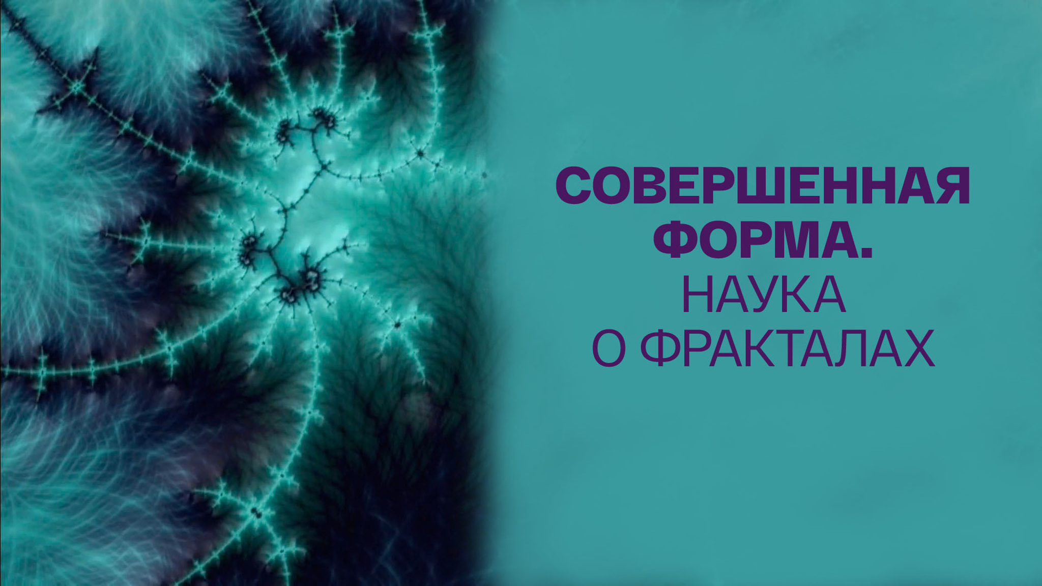 Совершенная форма. Наука о фракталах