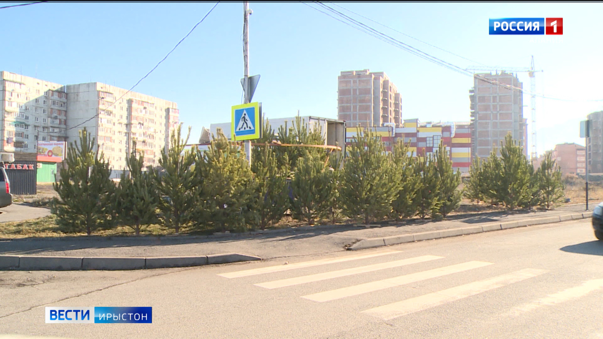 Дзæуджыхъæуы заз бæлæсты базартæ райдыдтой кусын 10 декабрæй фæстæмæ