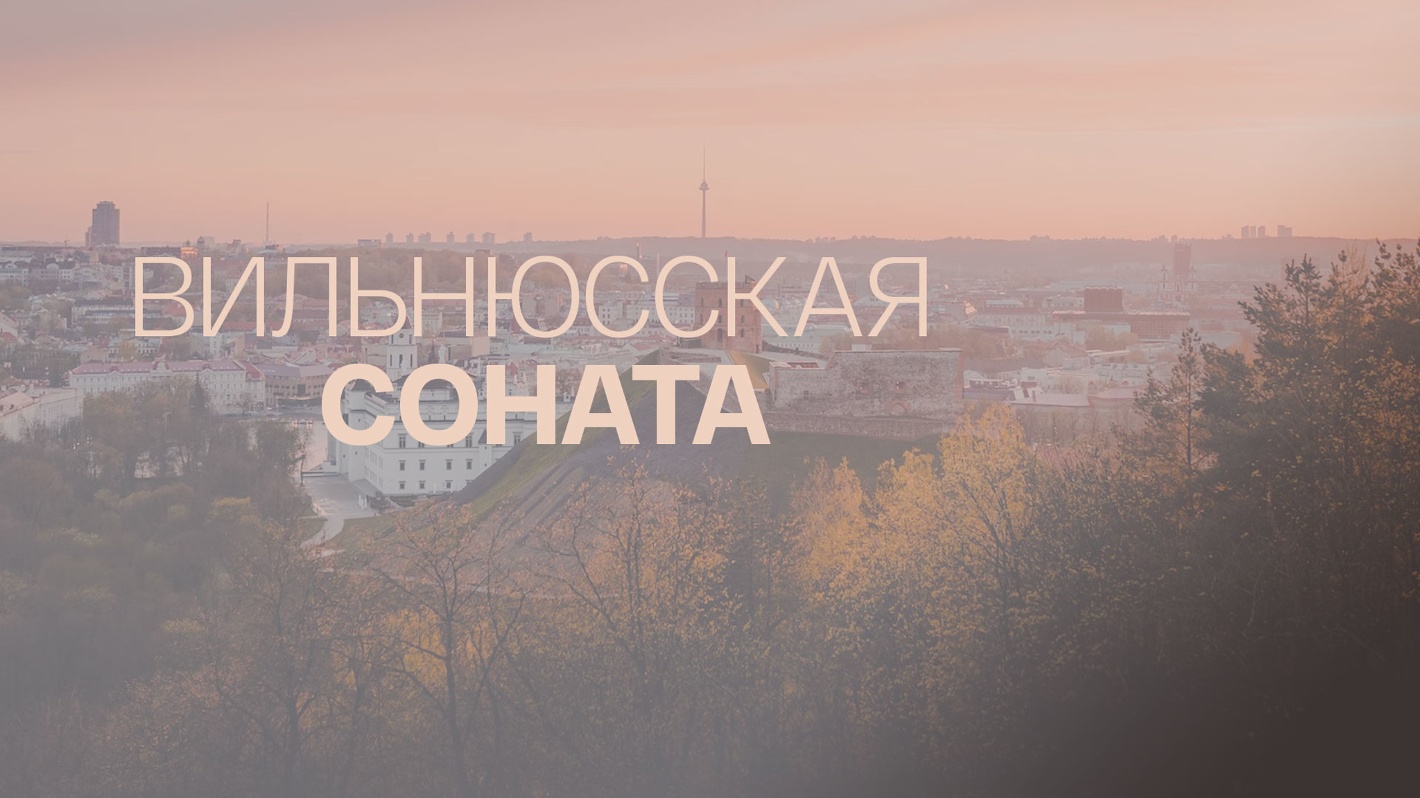 Вильнюсская соната