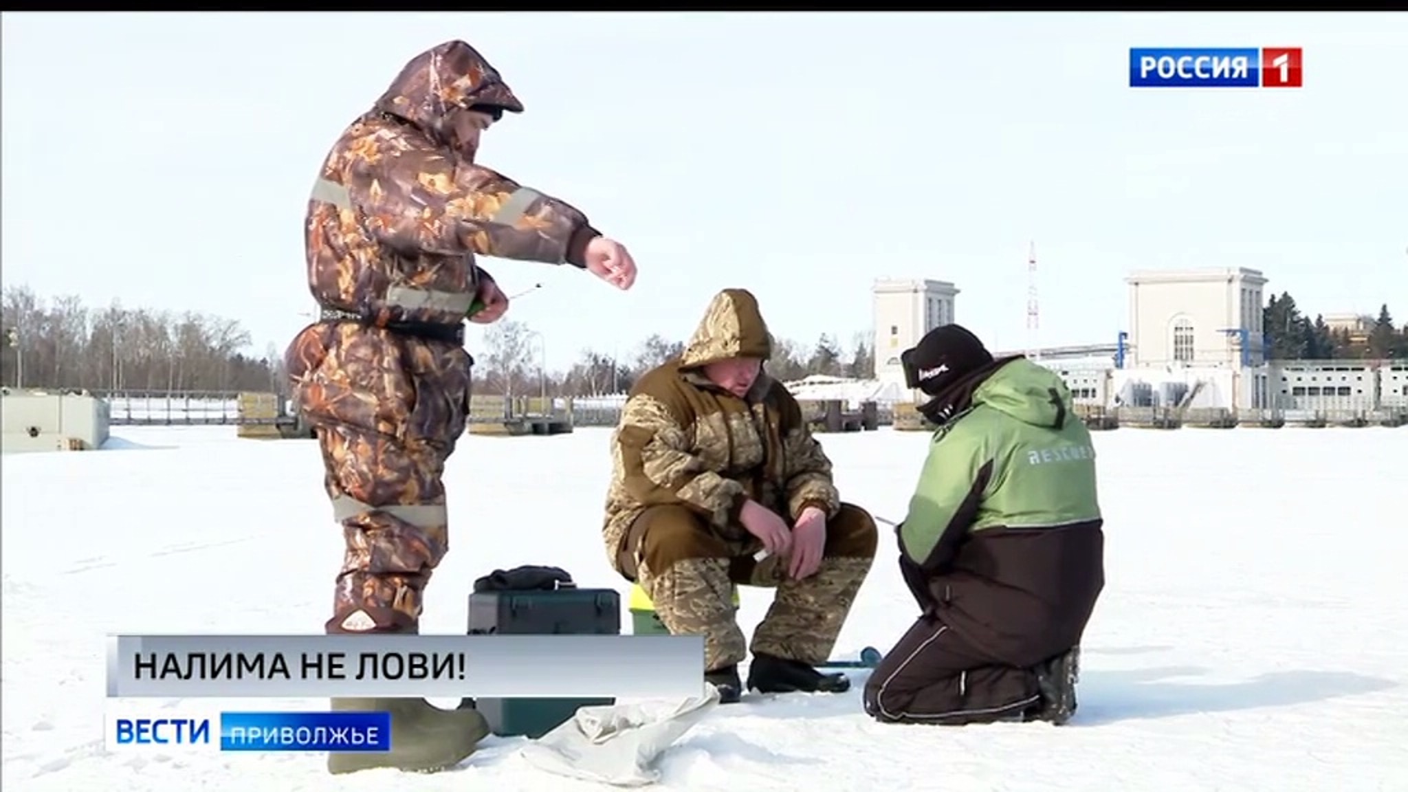 В Нижегородской области до 19 января действуют ограничения на добычу налима