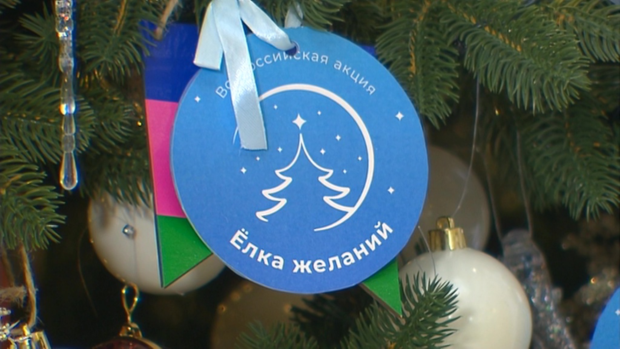 "Елка желаний" исполняет мечты детей и взрослых