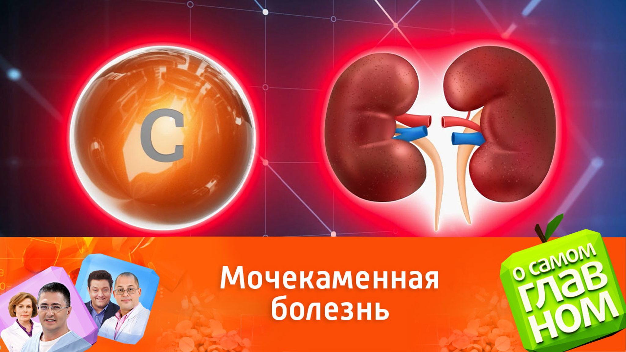 Мясников назвал витамин, способствующий образованию камней в почках