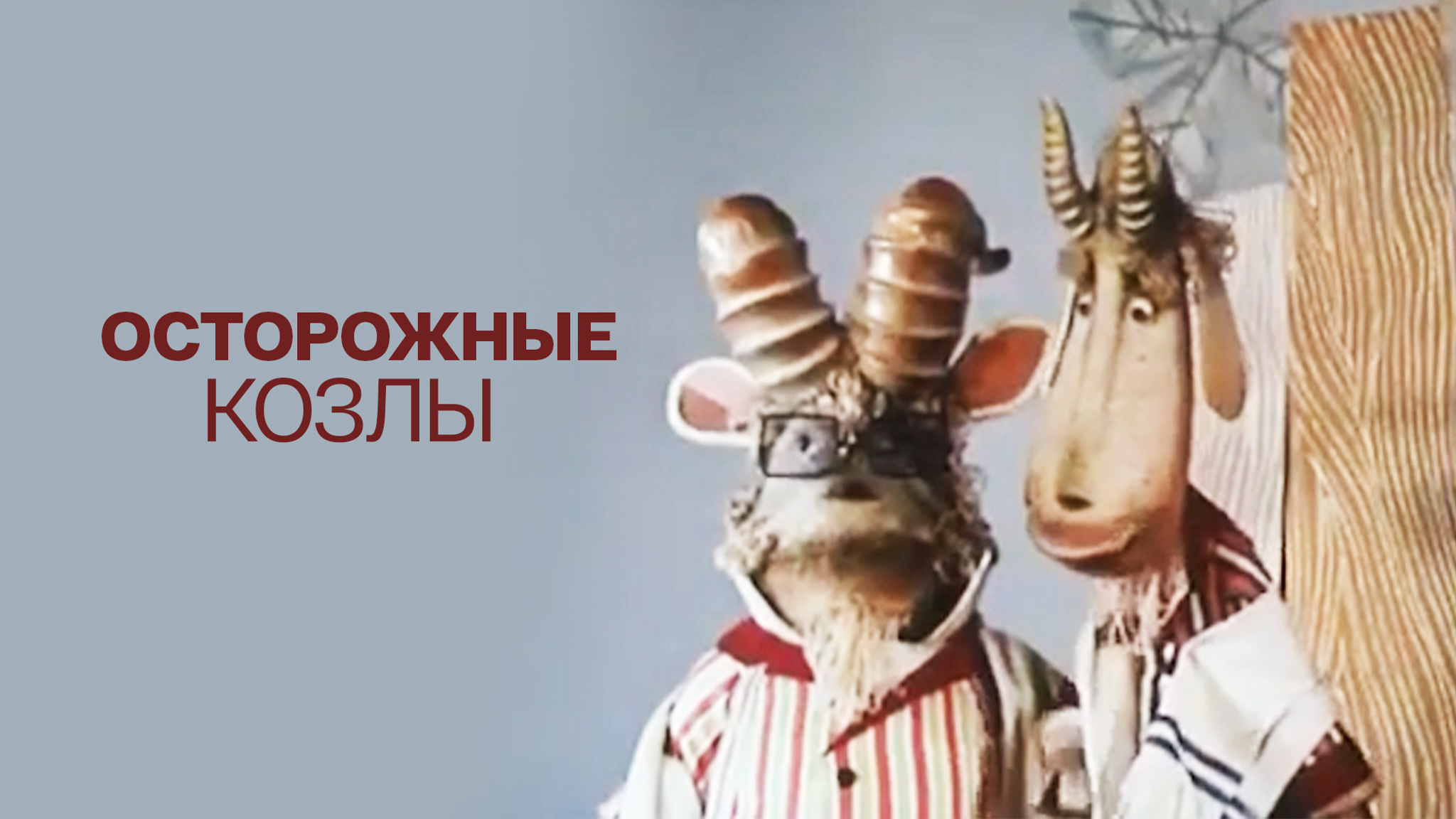 Осторожные козлы