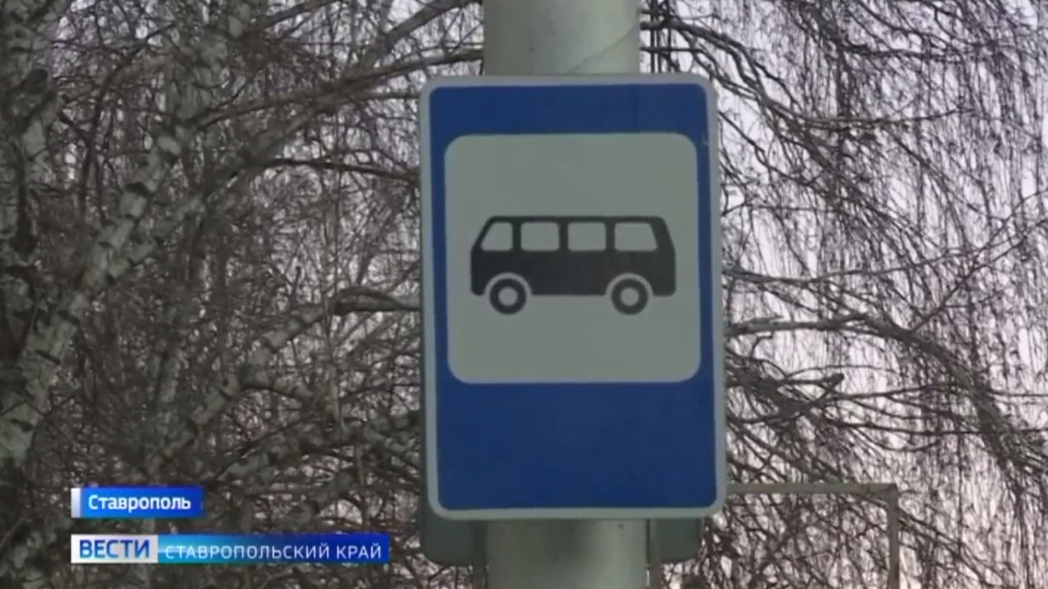 Ставропольцы оценили работу общественного транспорта после новогодних праздников