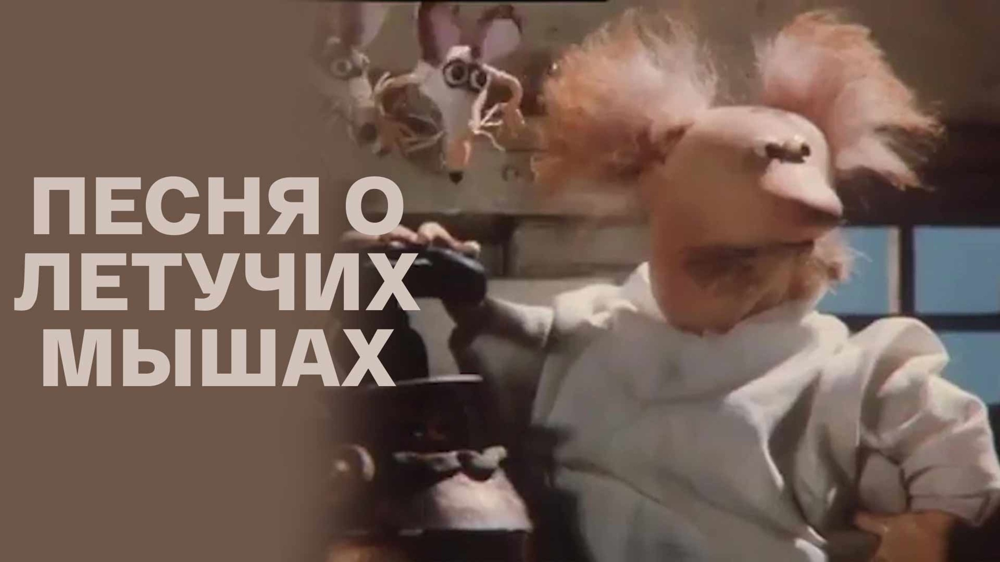 Песня о летучих мышах
