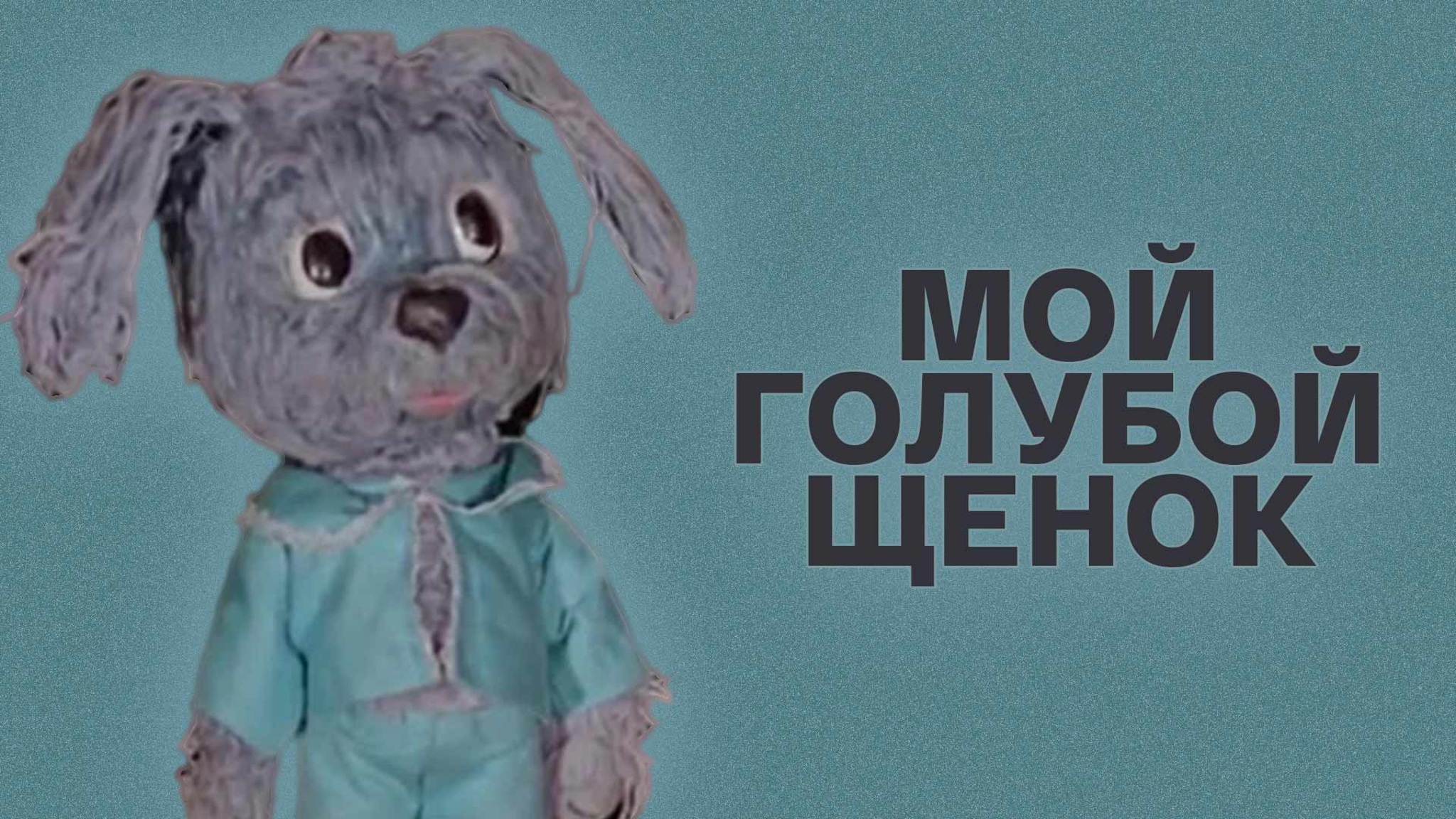 Мой голубой щенок